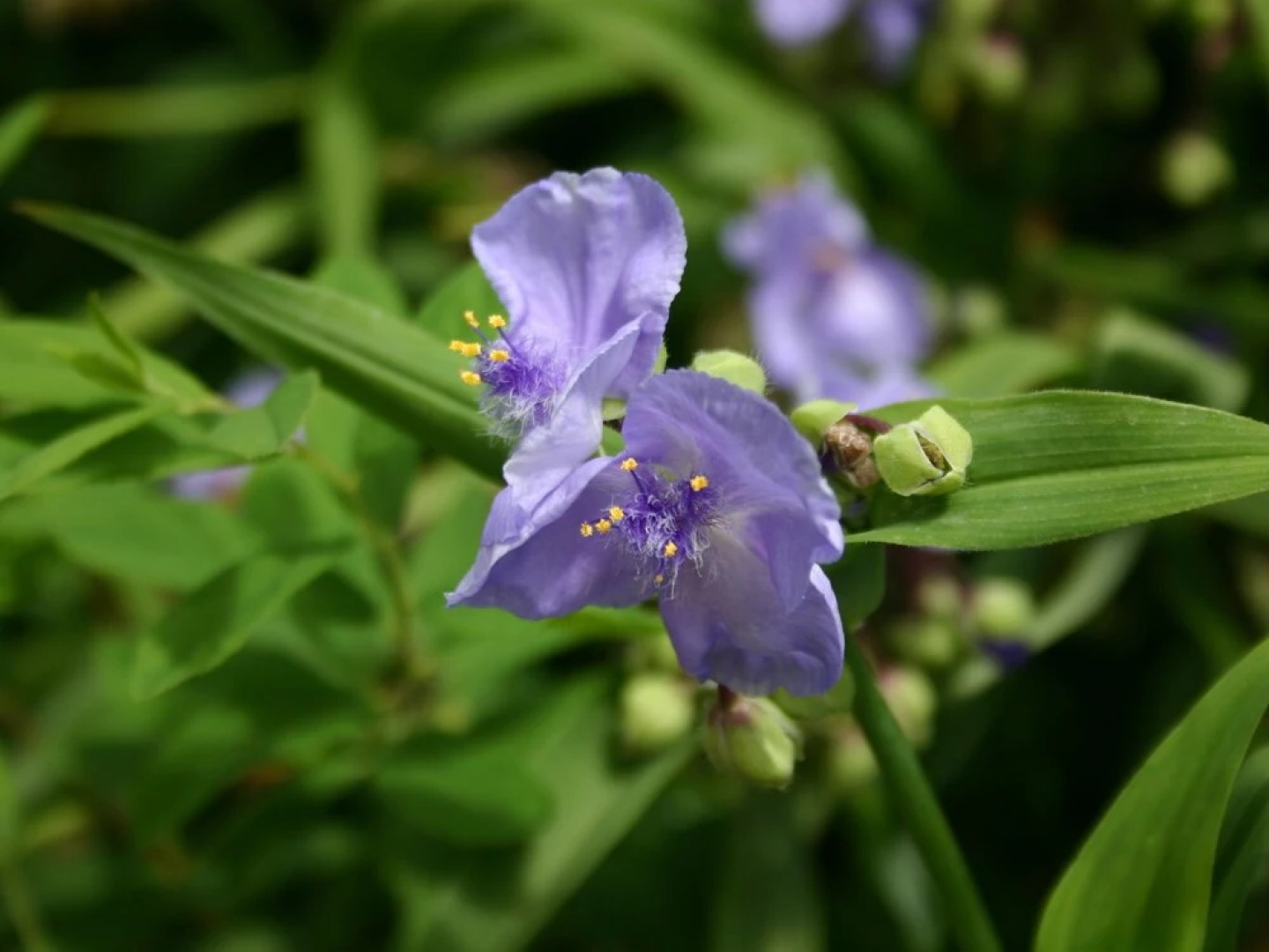 Tidy Chalet With gas Fireplace, in the Achterhoek