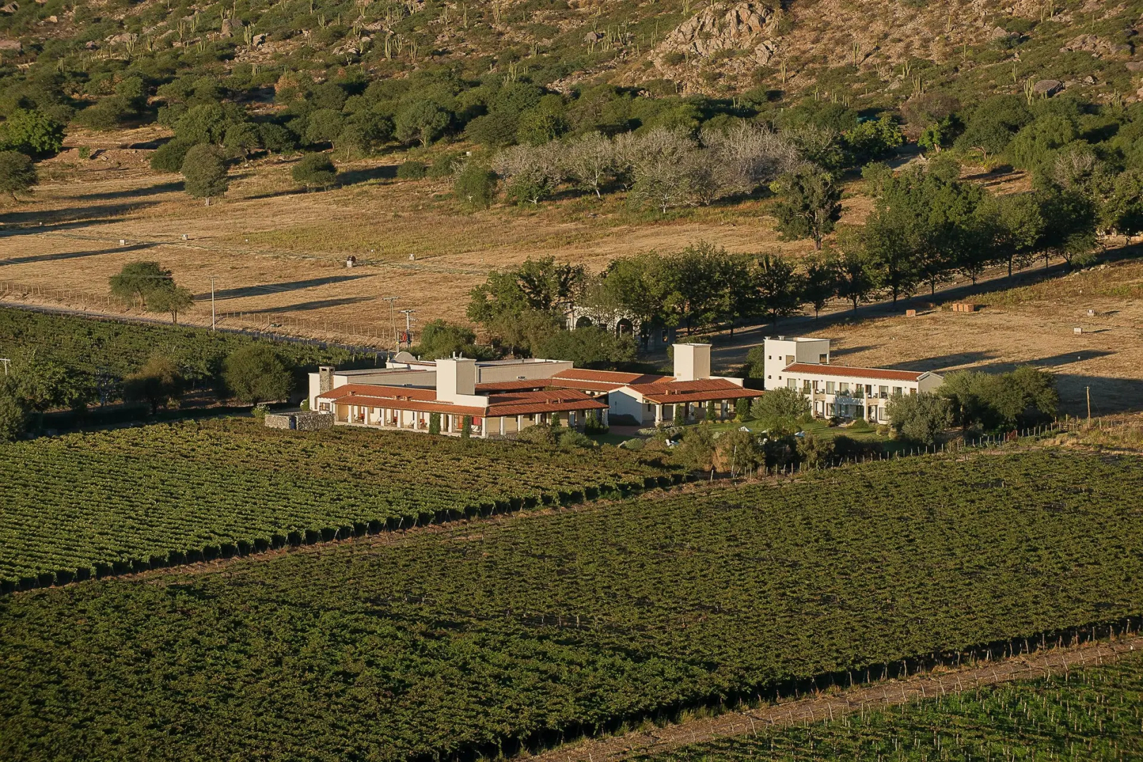 Viñas De Cafayate Wine Resort