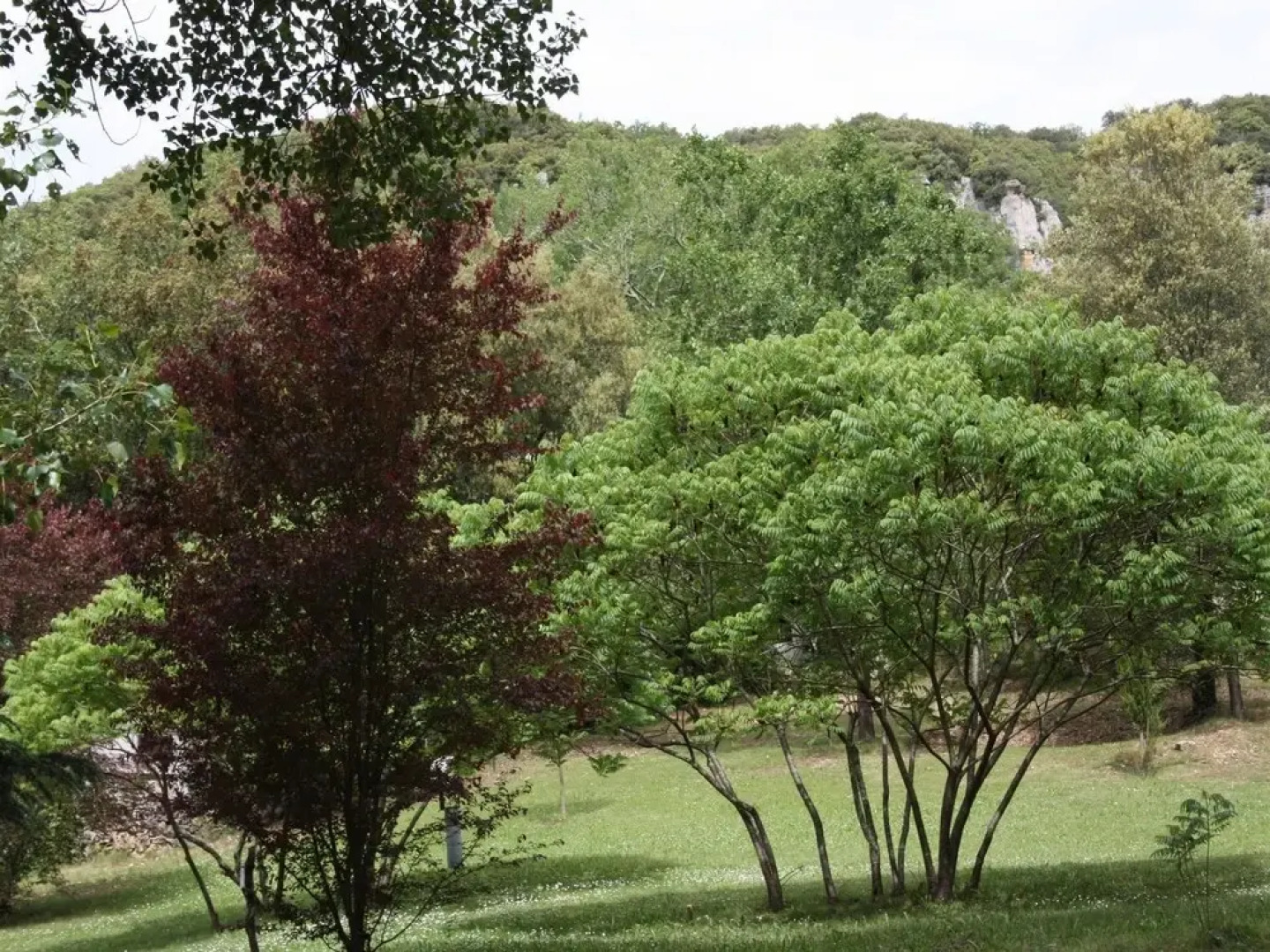 Bungalow With one Bedroom in Saint-privat-de-champclos, With Terrace - 130 km From the Beach