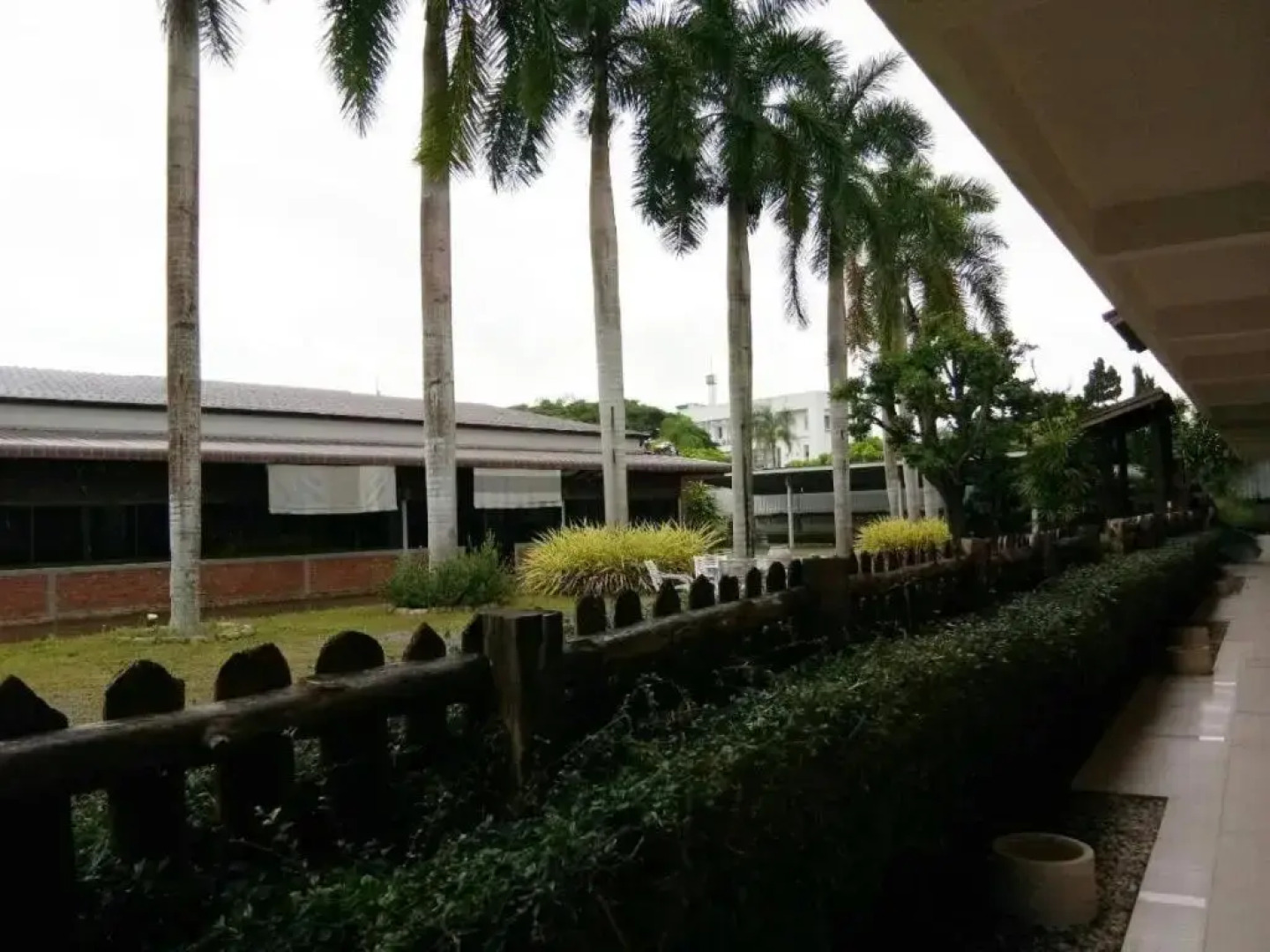 Palm Hug Resort & Camping Homestay