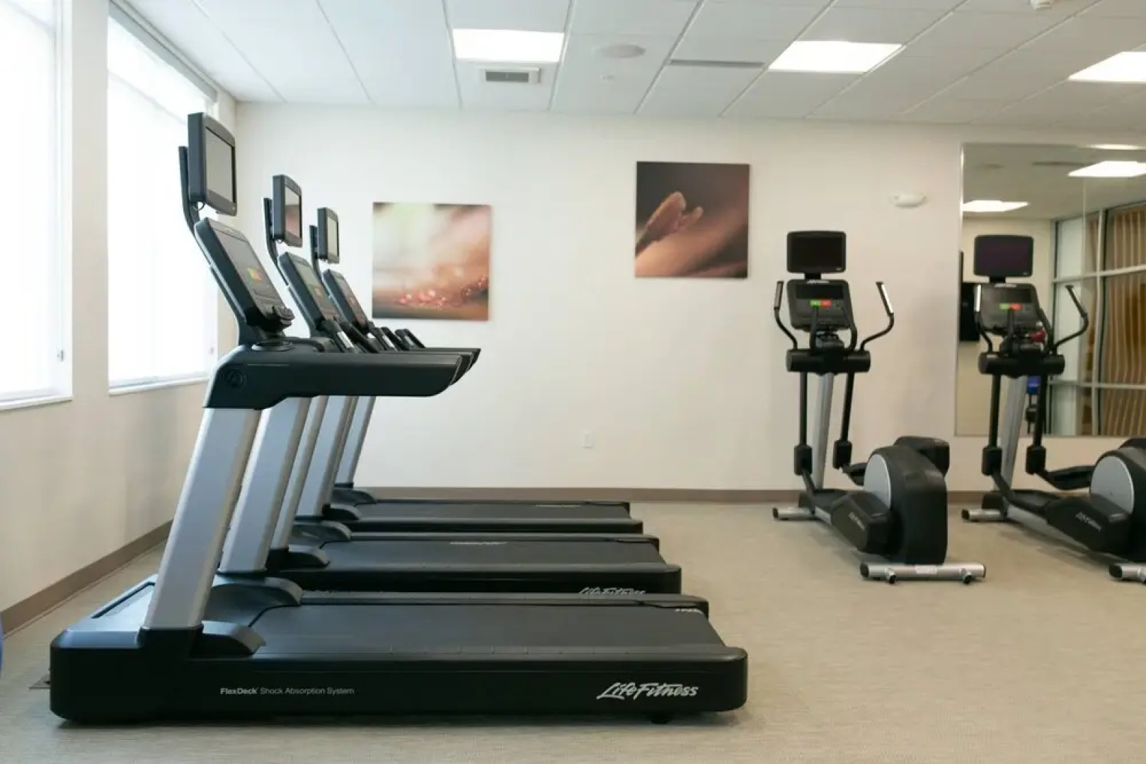 SpringHill Suites by Marriott South Bend Notre Dame Area