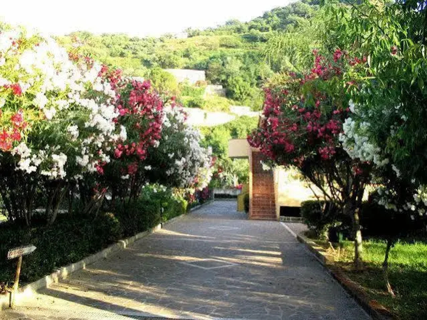 Villaggio Hotel Club Calanovellamare