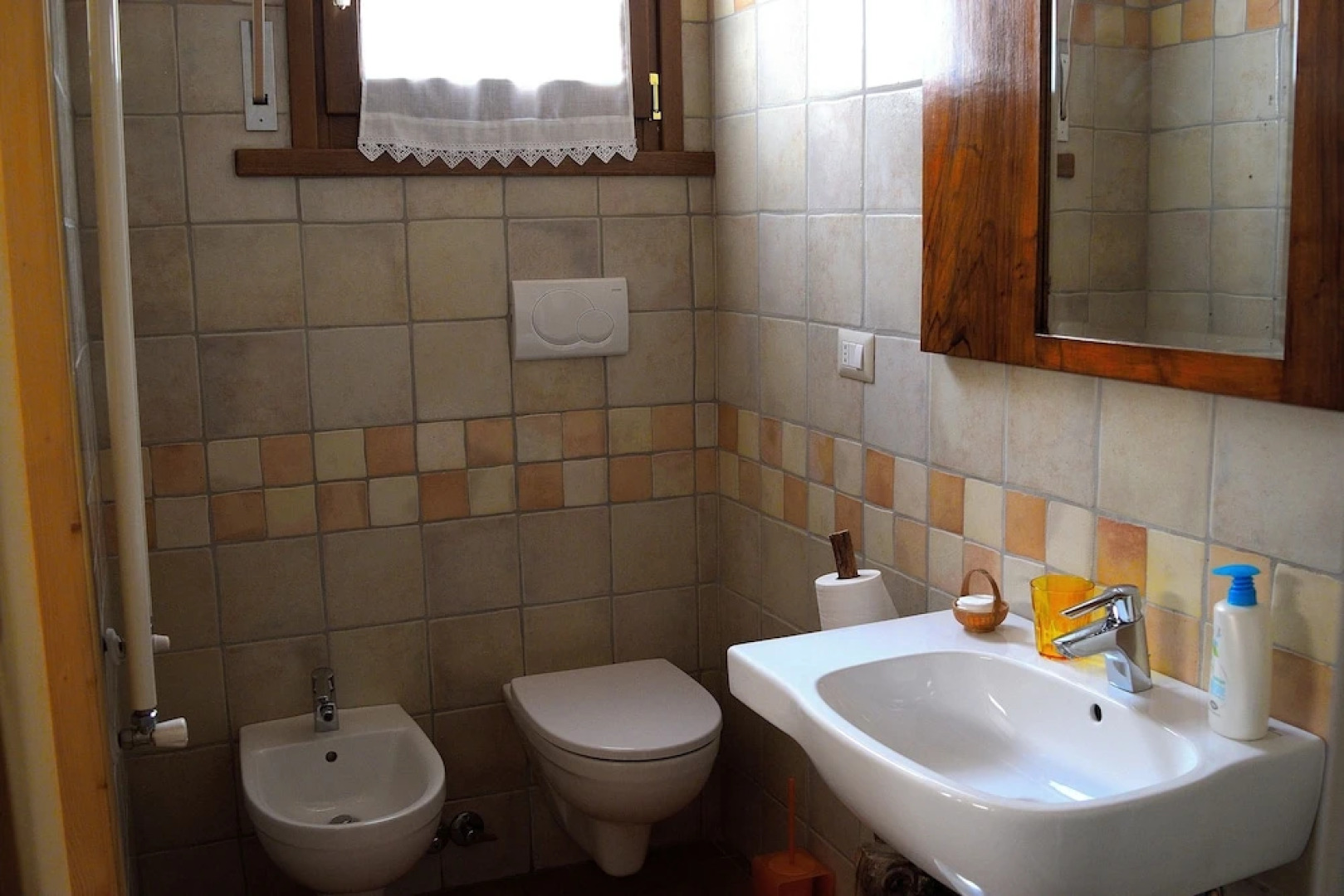 B&B Animali Selvaggi