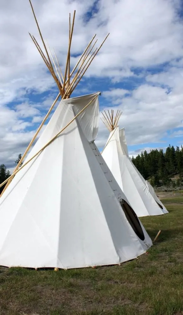 The Wilderness Way Adventure Resort