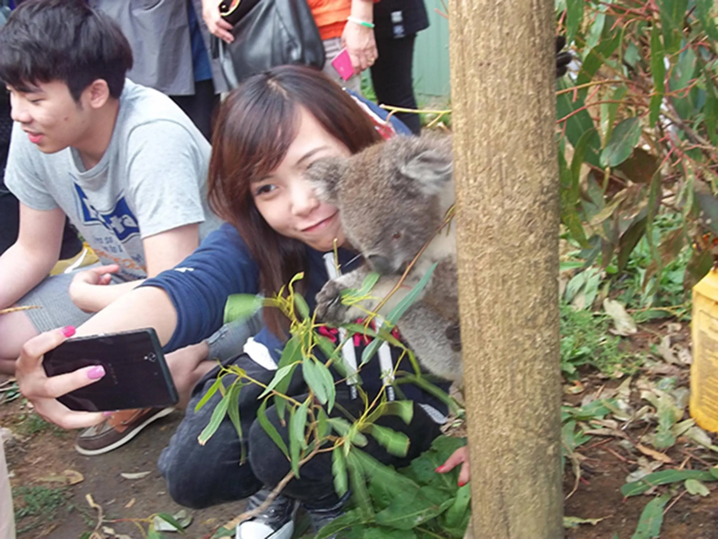 Fauna Australia Wildlife Retreat