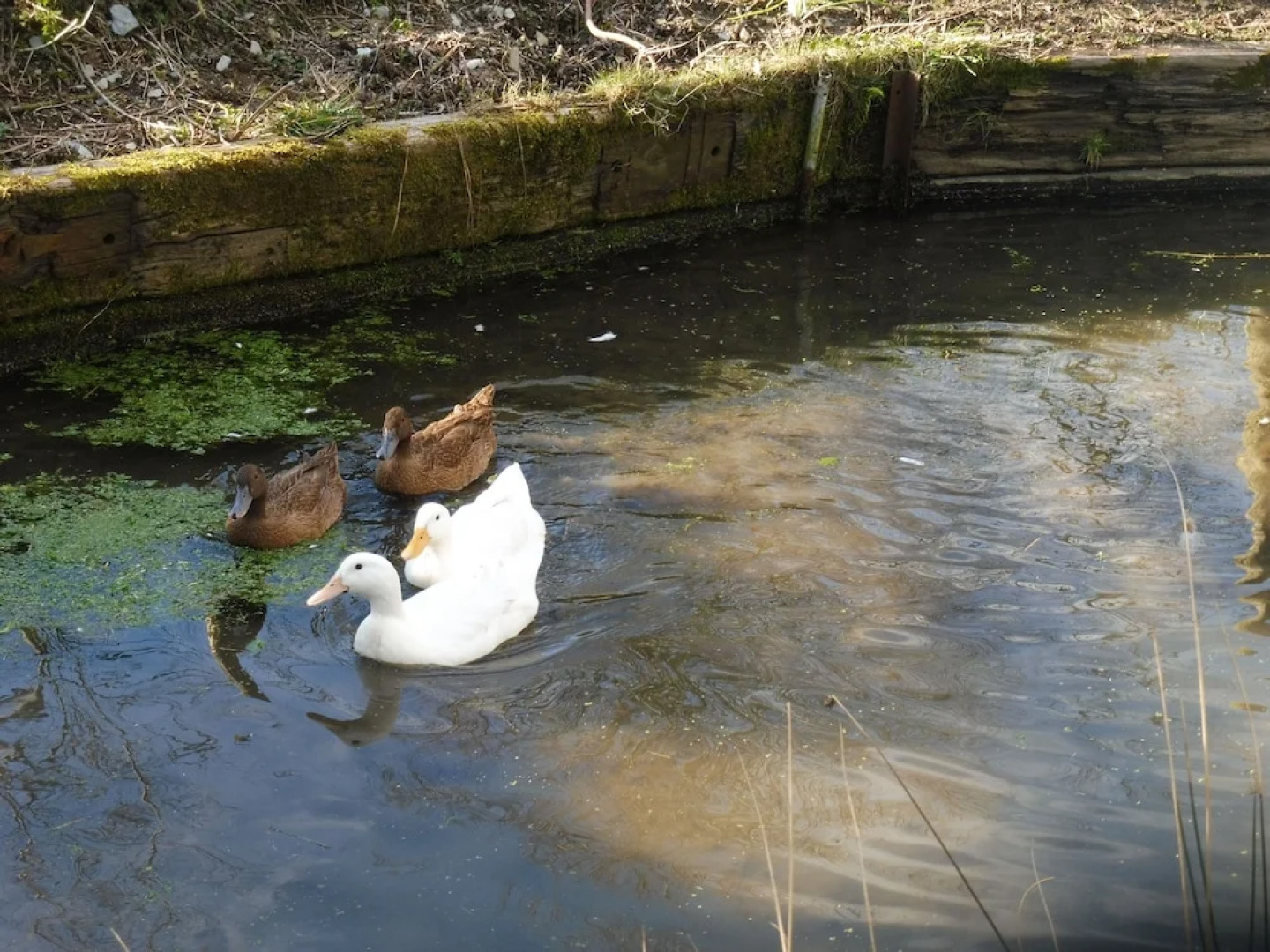 Blaencwm Bed and Breakfast