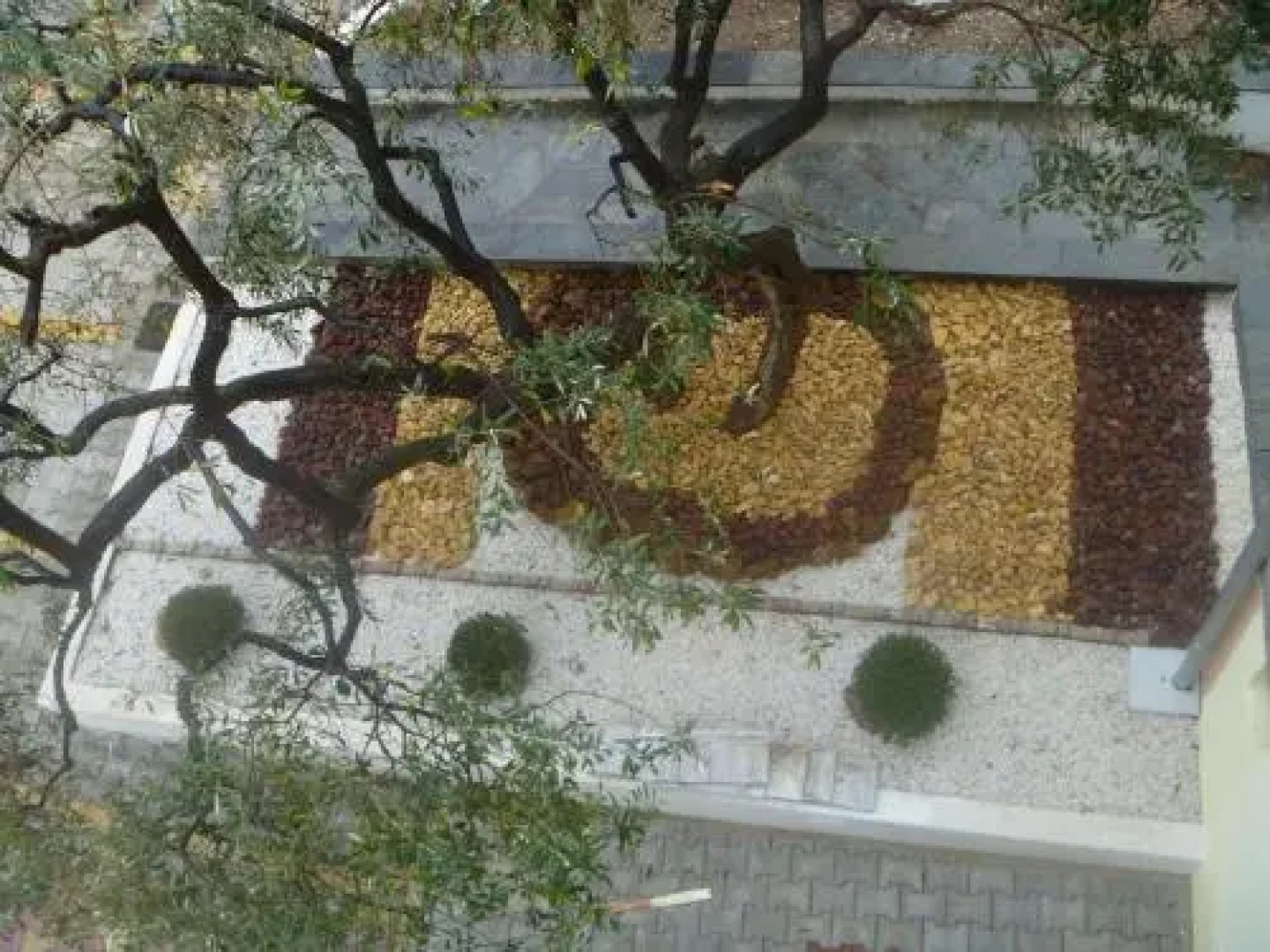 Studios Apartments Irini Patira