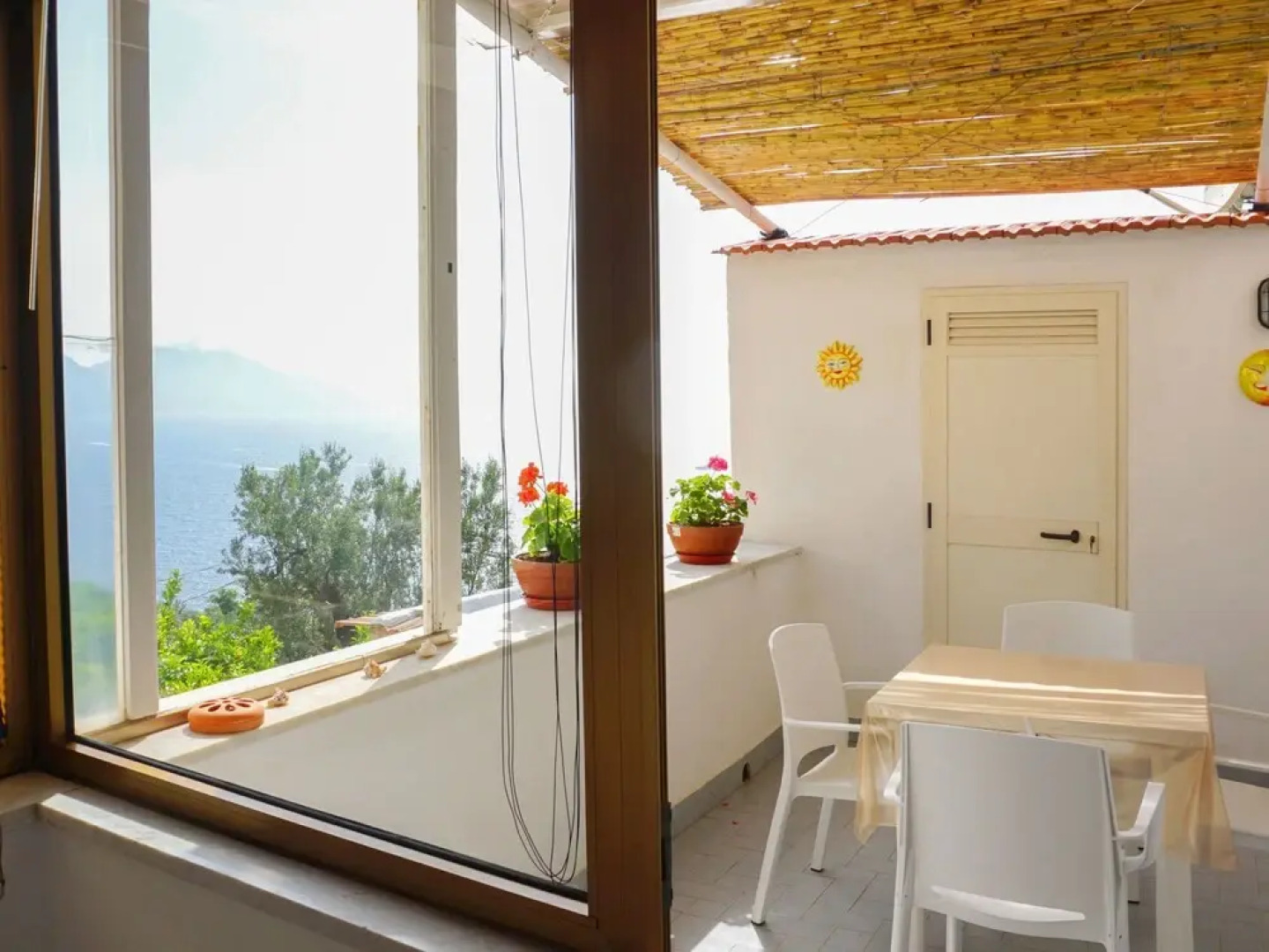 Secular Tree Massa Lubrense