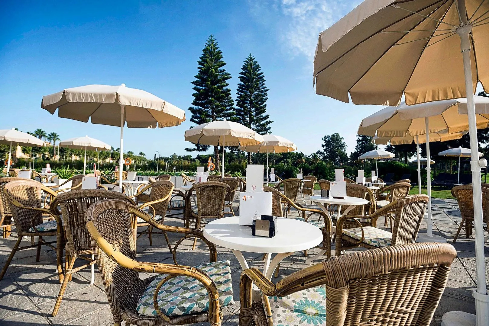 ALEGRIA Costa Ballena