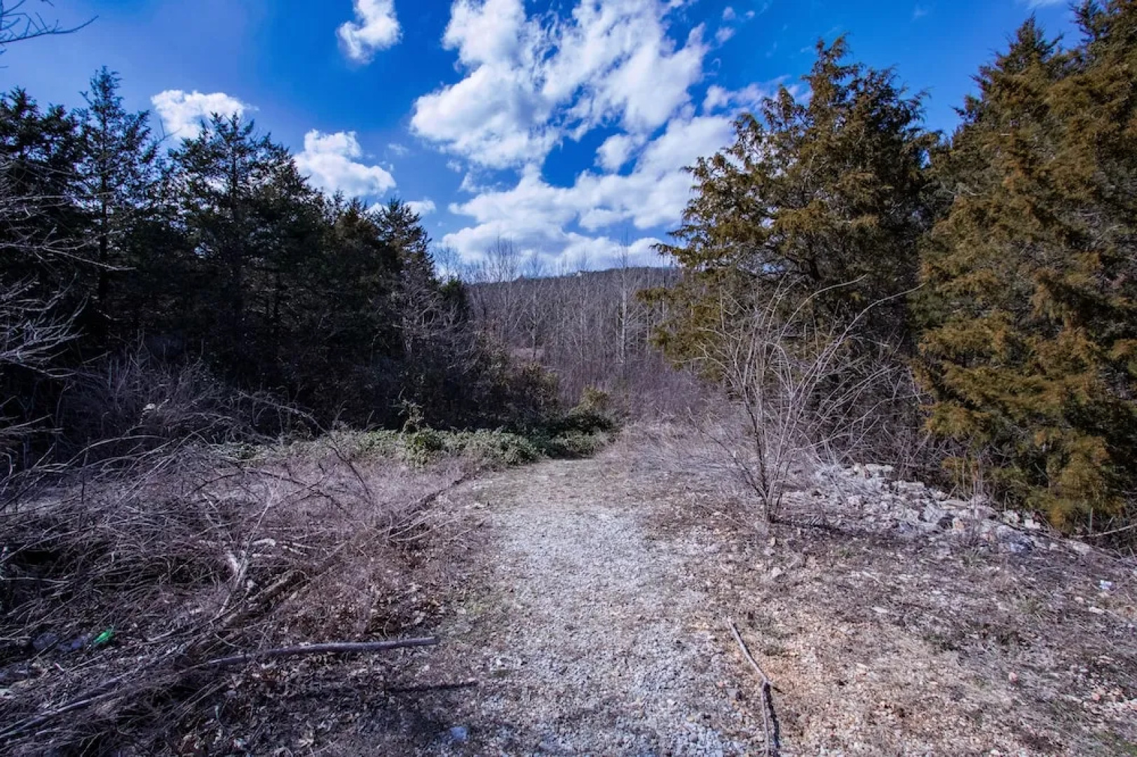 Classy Canyon Retreat - 5 Br Home