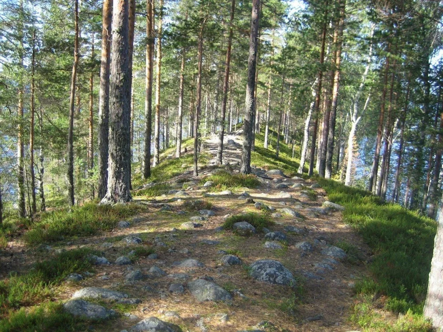 Pajarinniemi Cottage