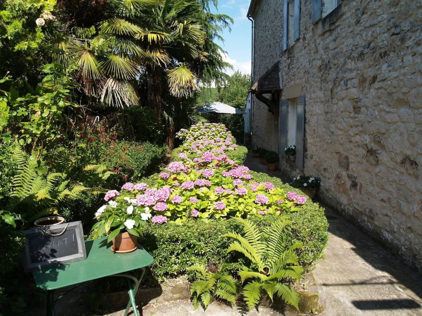 Les Hortensias