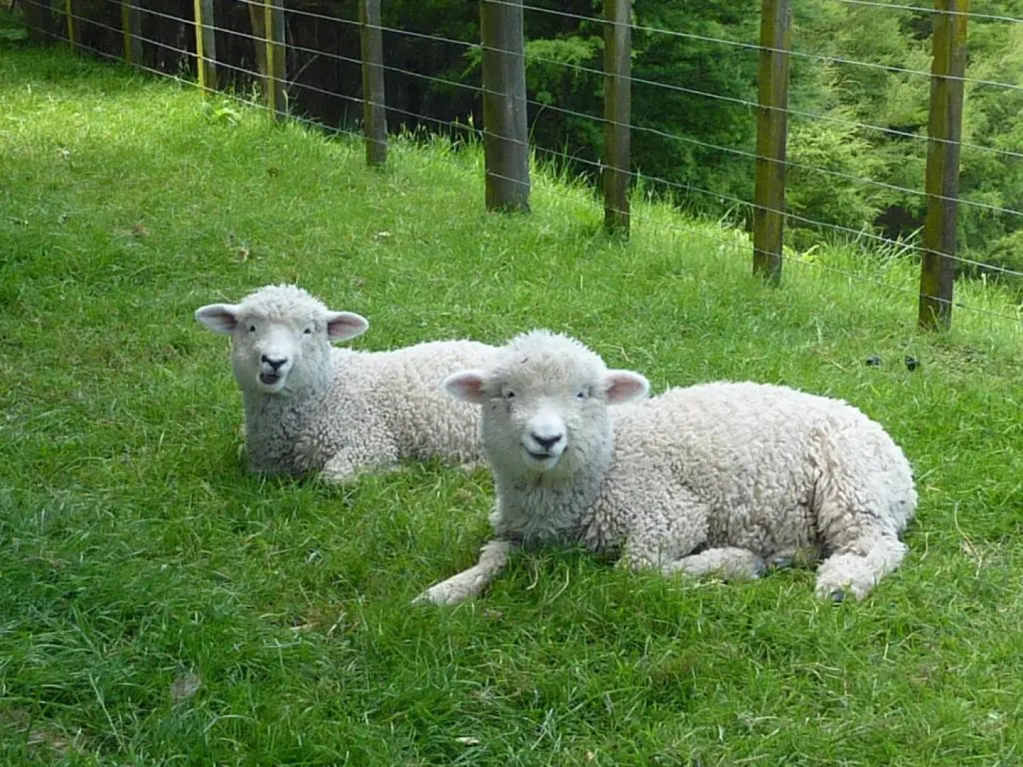 Thorold Country House