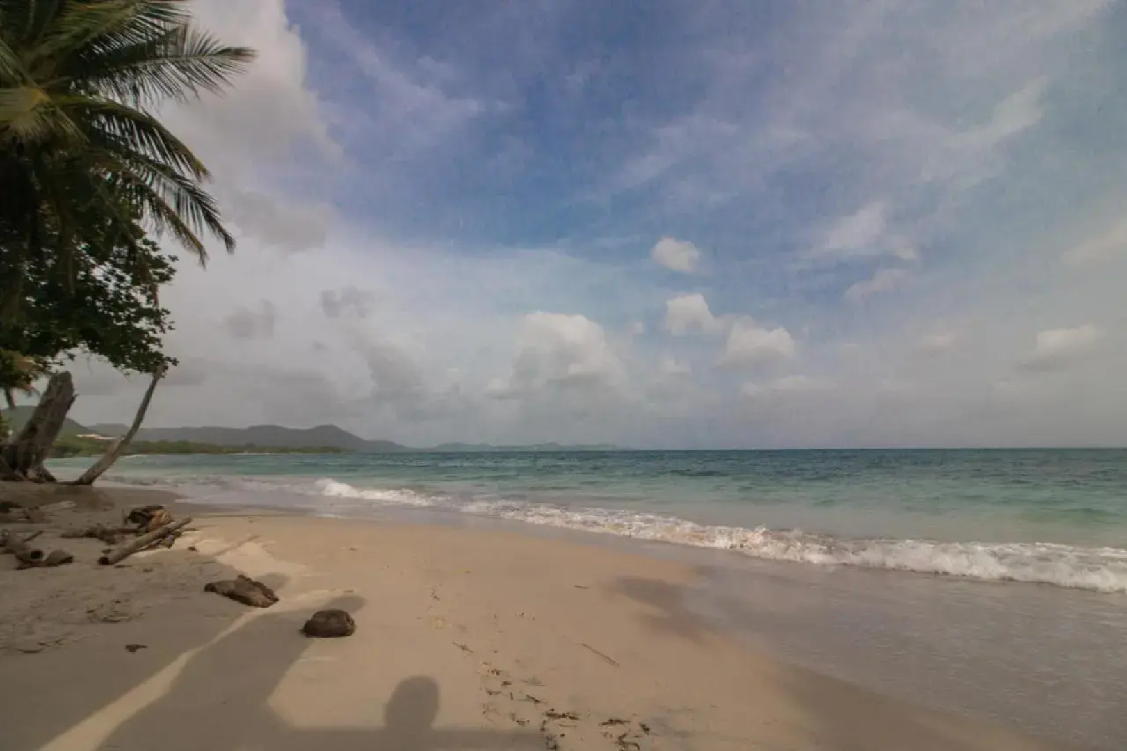 T2 les pieds dans l'eau, vue mer caraibes