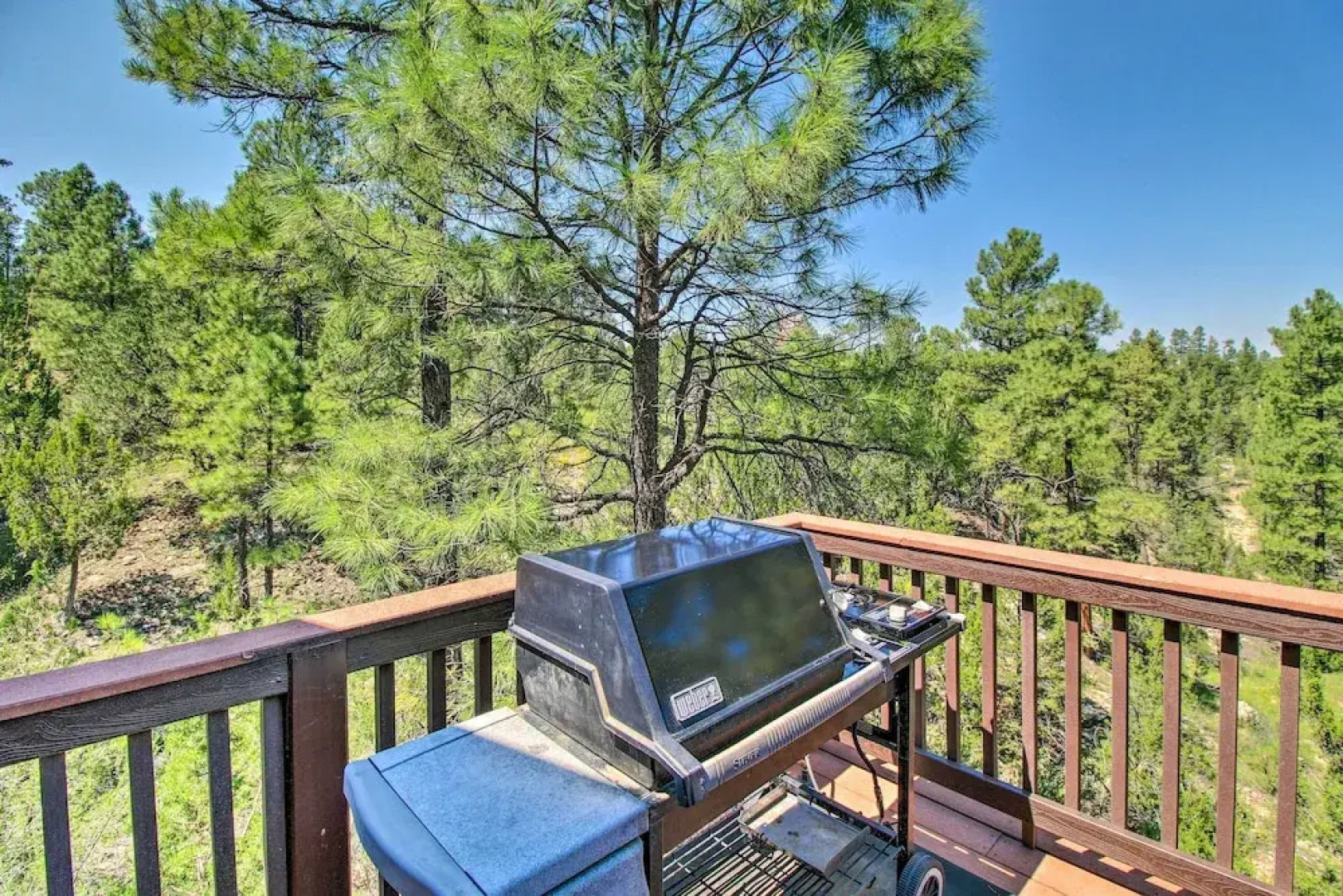 Serene Cabin: Coconino Nat'l Forest View!