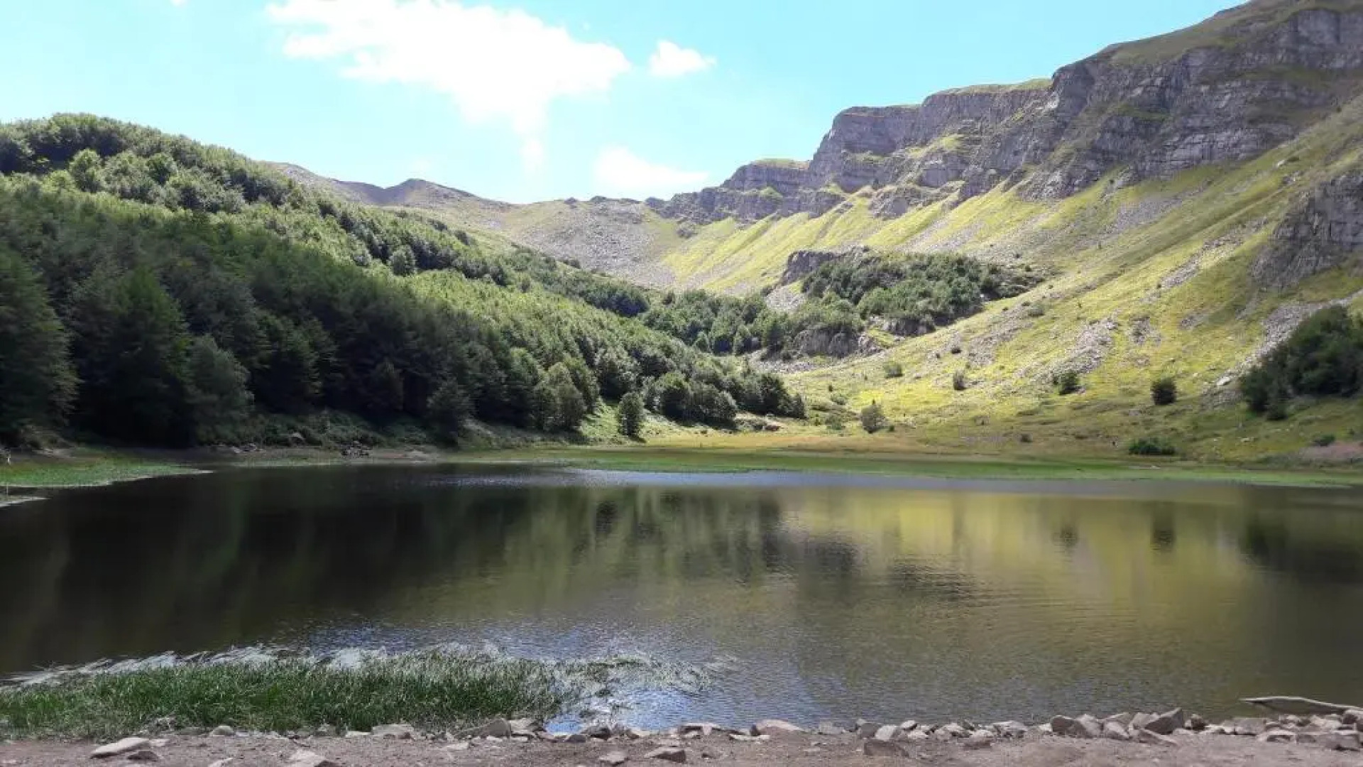 Uno chalet nel bosco