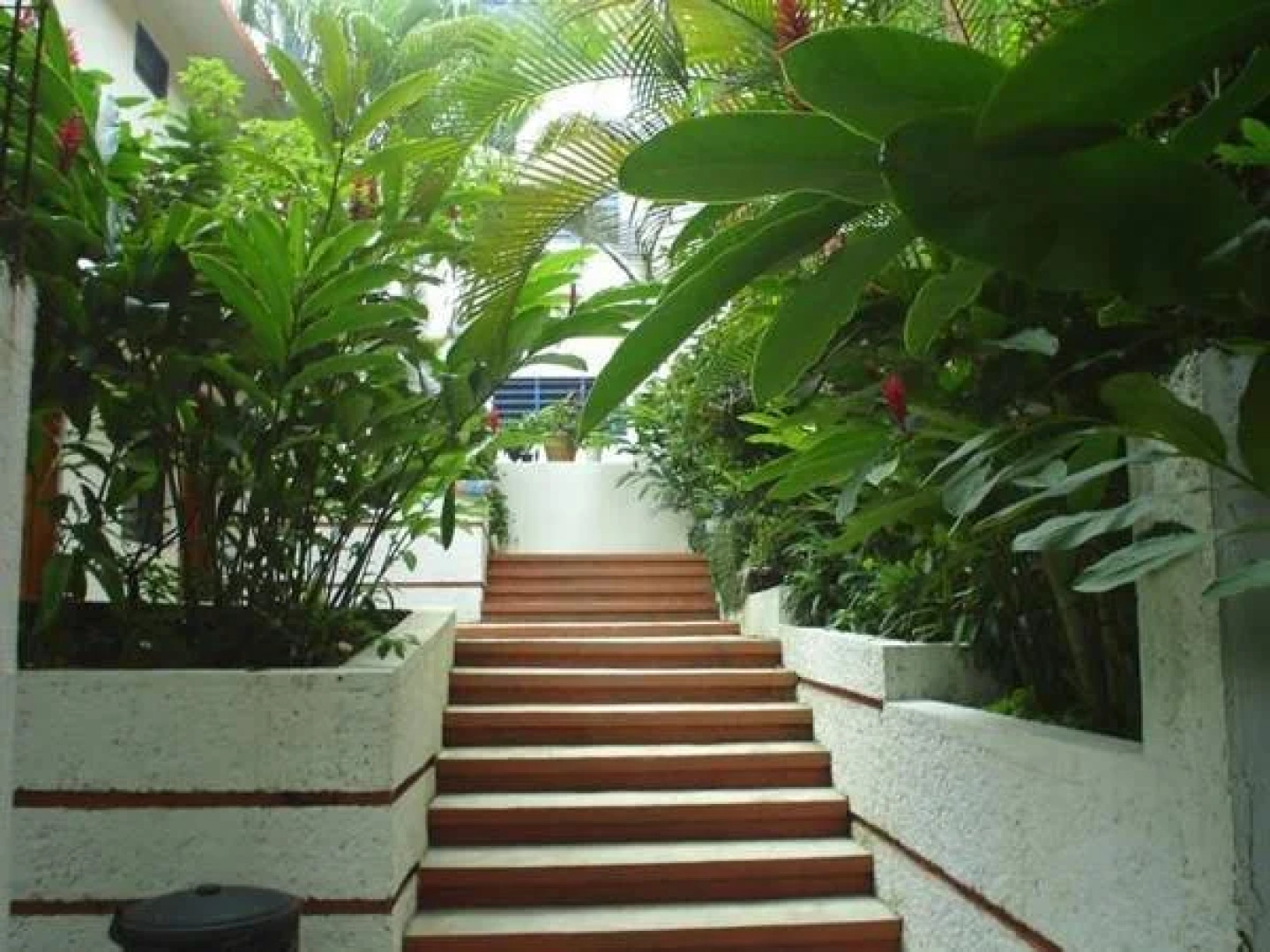 Hotel La Quinta Avenida