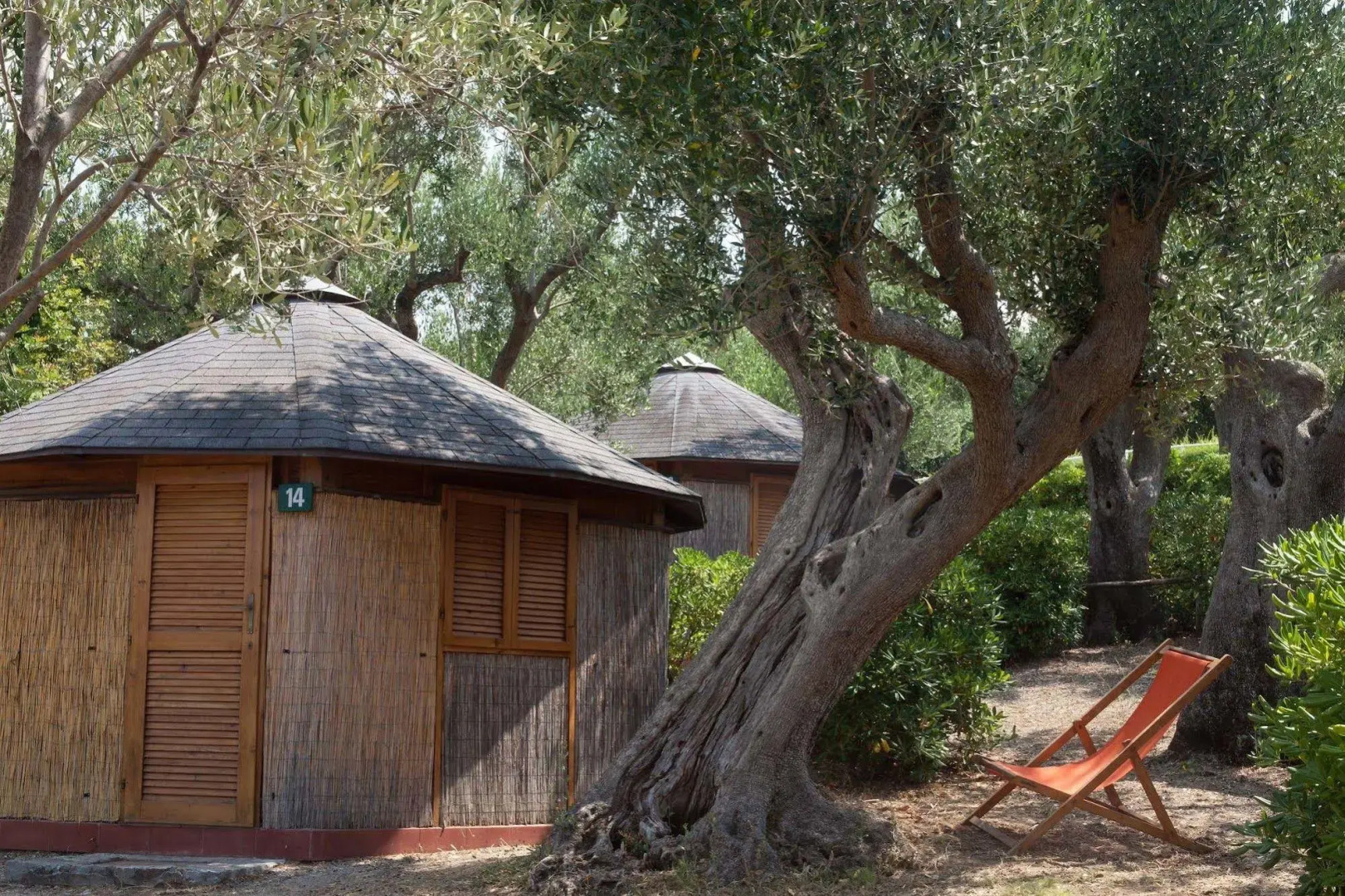 Touring Club Italiano - Marina di Camerota