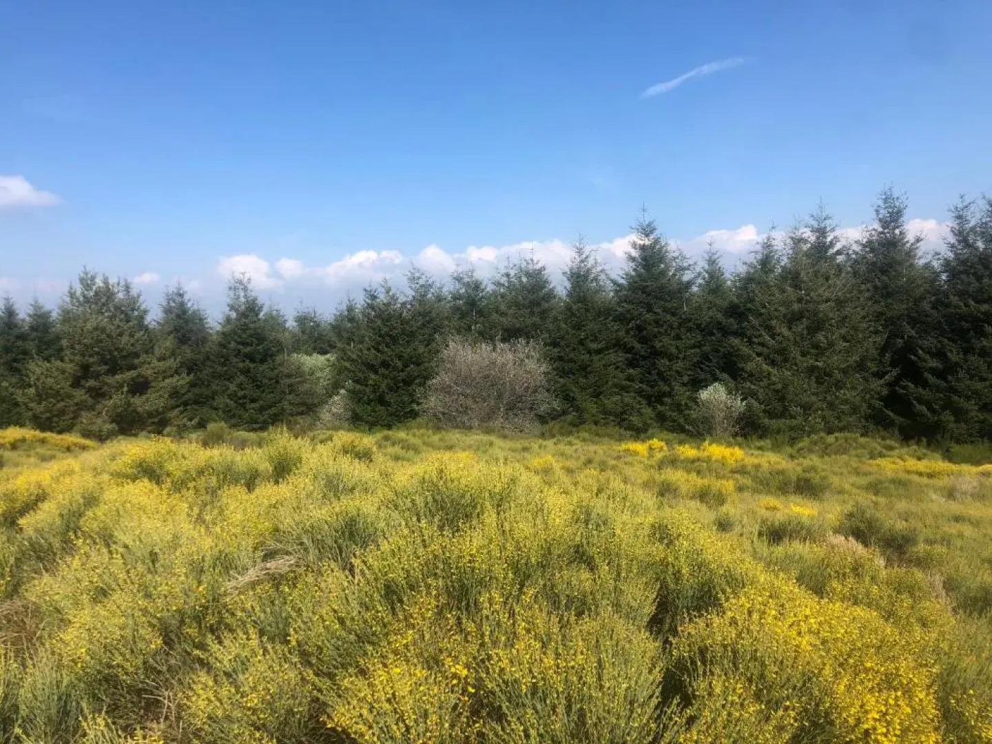 CONDRIEU T3 Climatisé 2ème étage