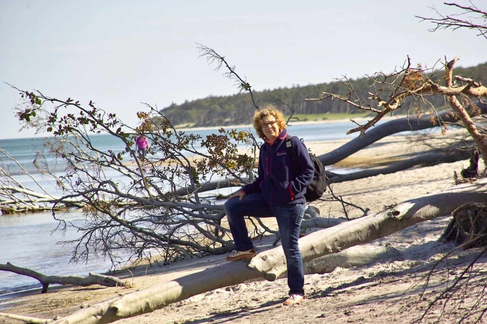 Ferienhaus Waldblick