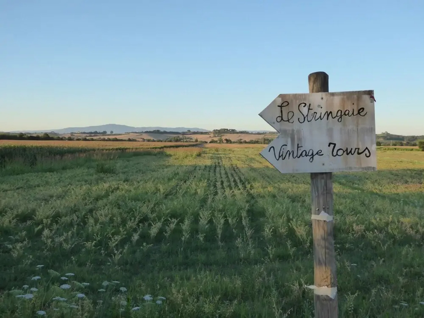 Agriturismo Le Stringaie