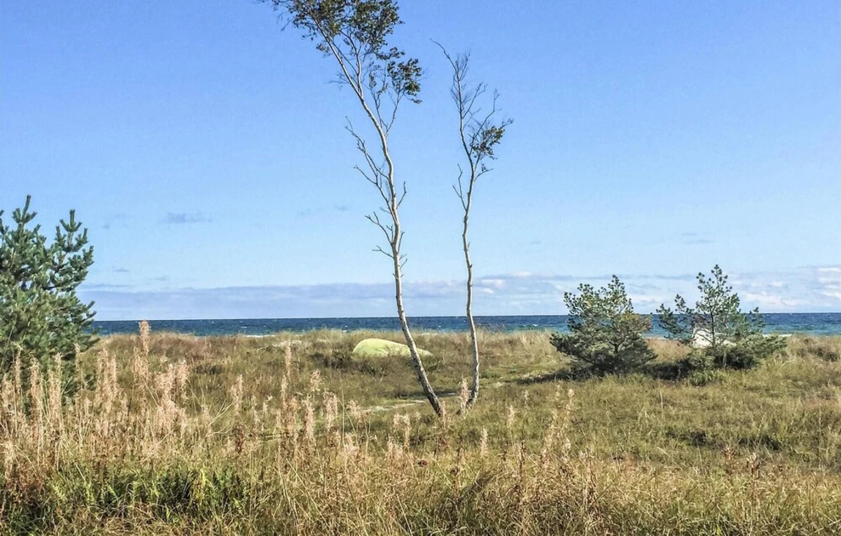 Amazing Apartment in Beddingestrand With 1 Bedrooms