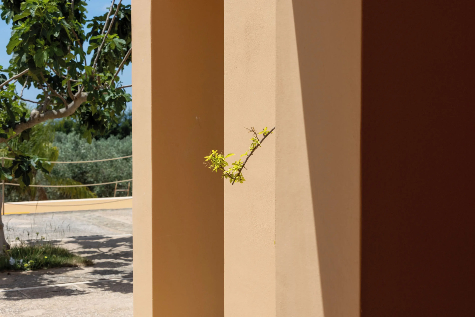 Planeta Country House & Beach Club