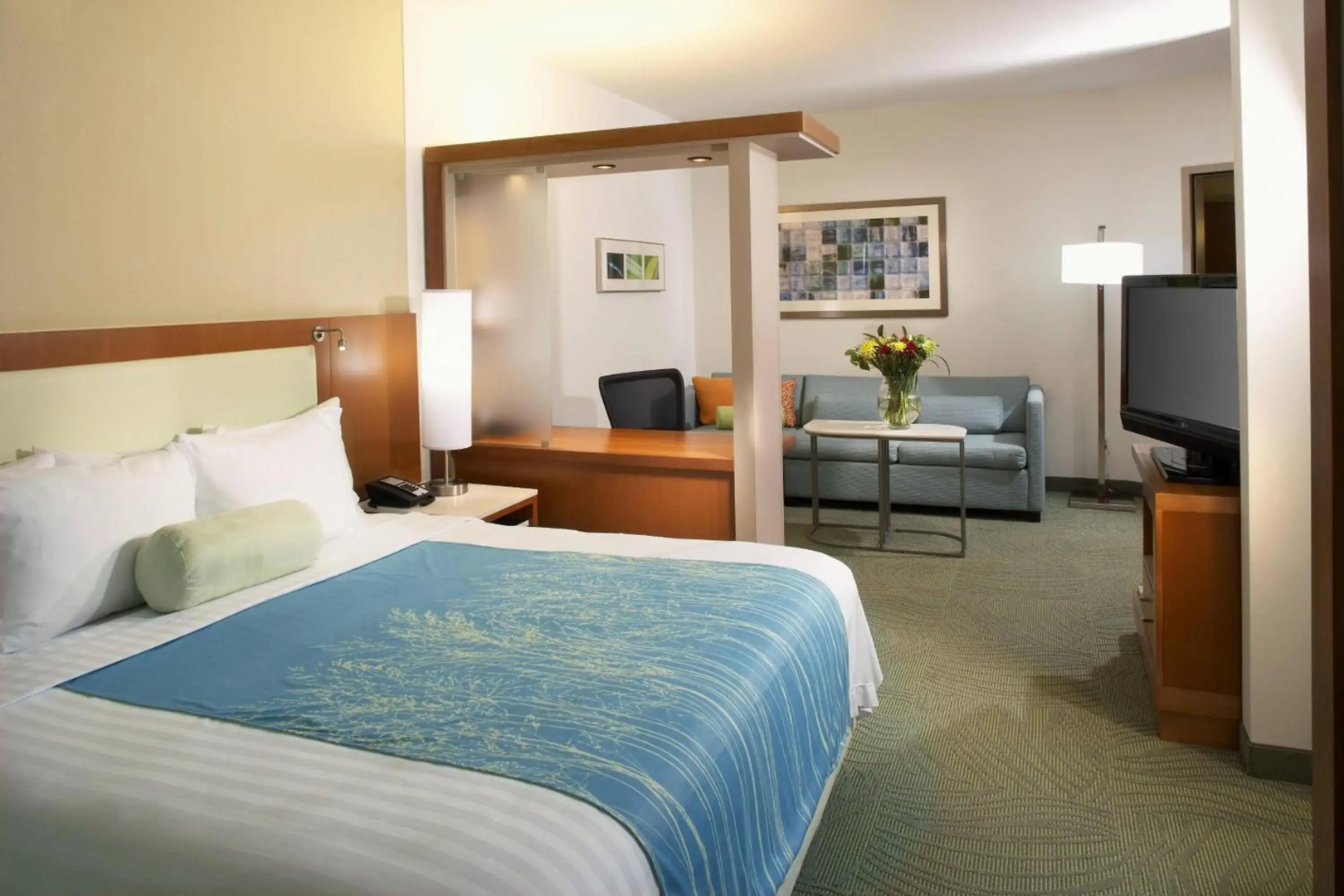 SpringHill Suites by Marriott Houston NASA/Webster