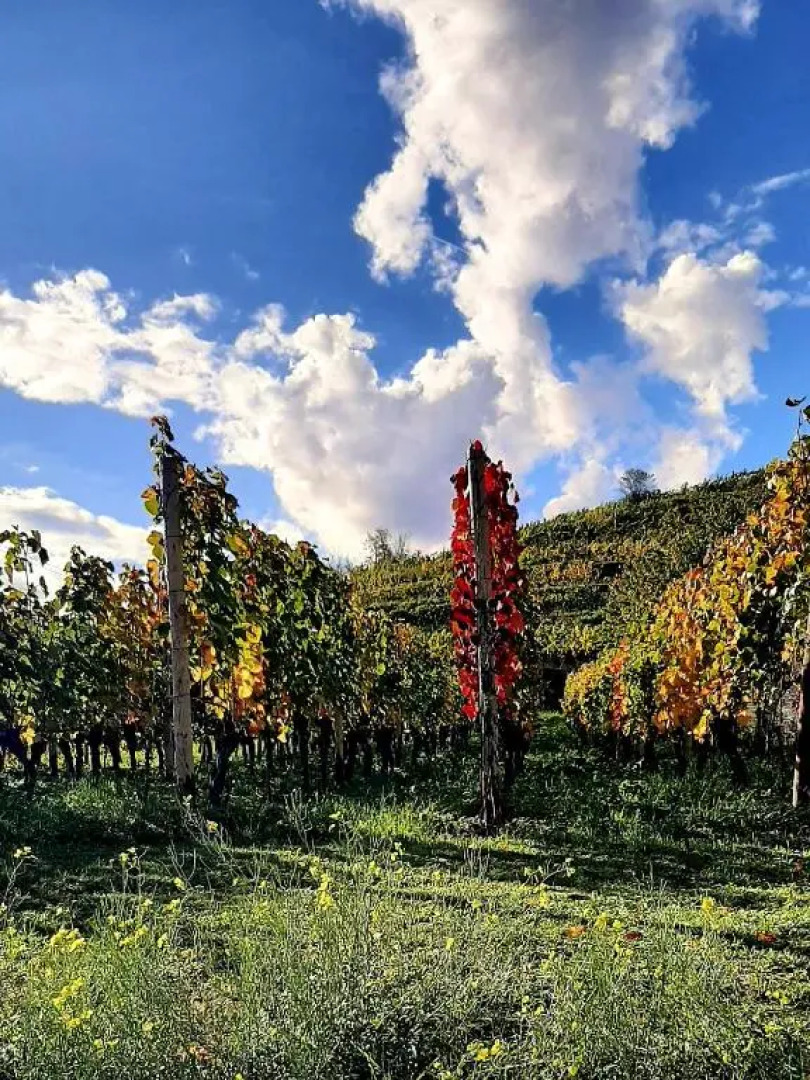 Ferienwohnung "Am Blauwasser" Mit Infrarotkabine (Adults Only)