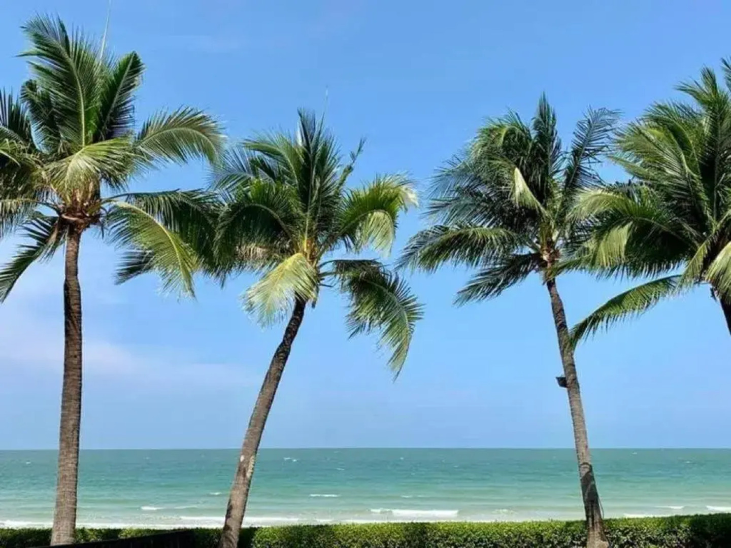 First Choice Suites (SHA Extra Plus)