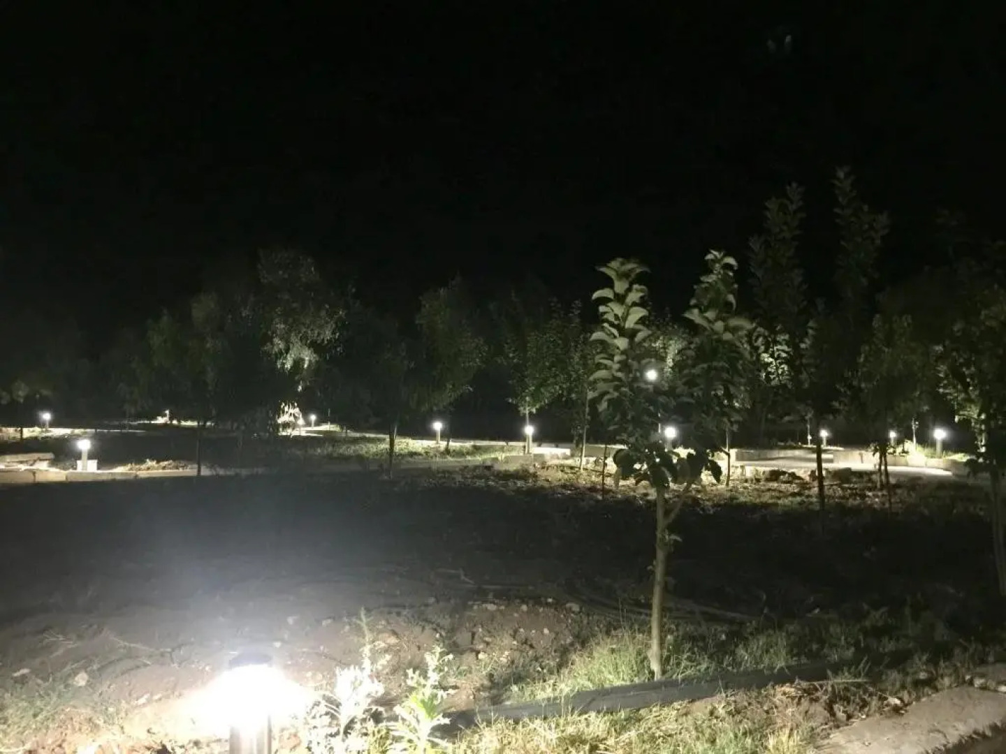 Agriturismo Armienti