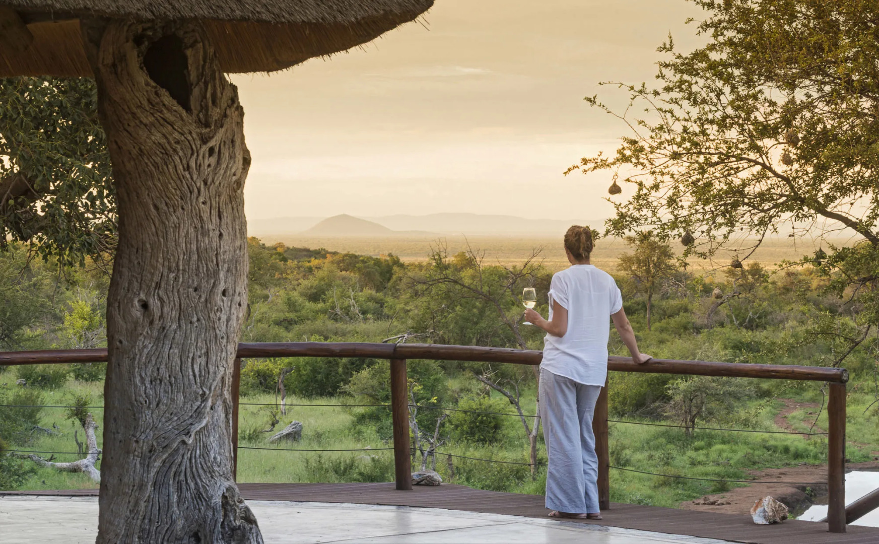 Royal Madikwe Game Lodge