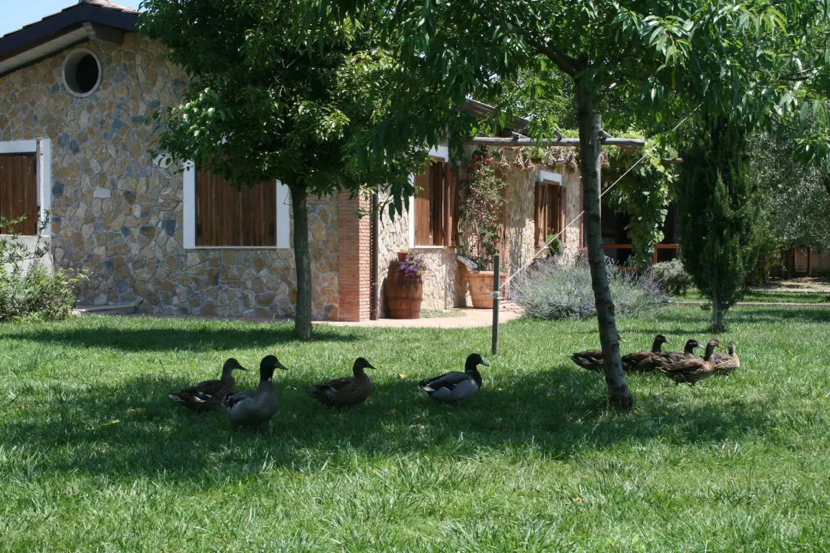 Azienda Agrituristica Vivi Natura