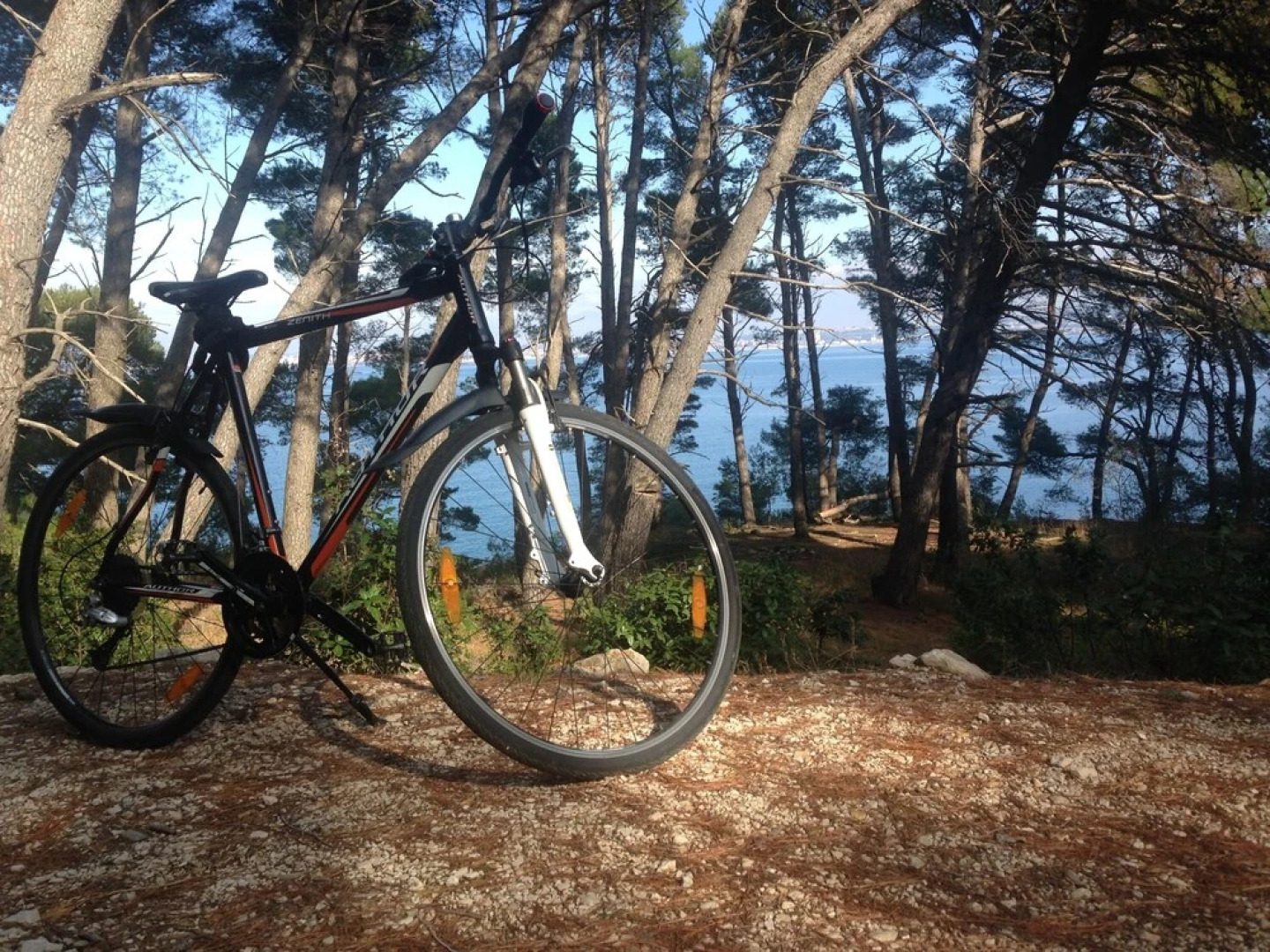 Holiday Villa Blue Tree