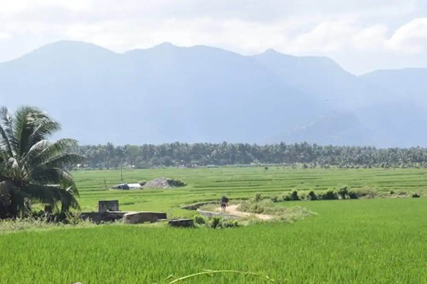 Room in Lodge - Royal Cottage, Anaimalai Room 6