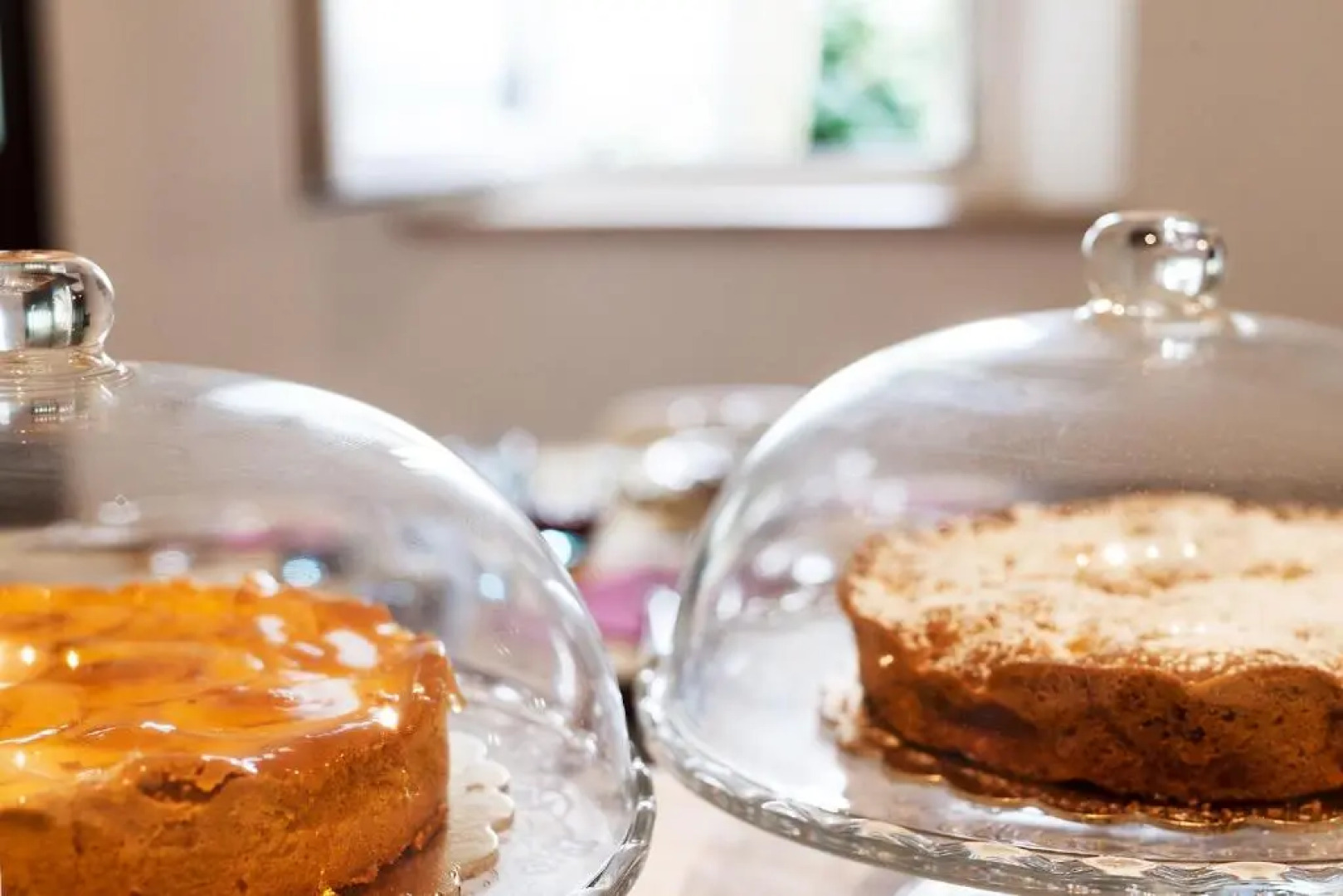 Artemisia negli ulivi B&B