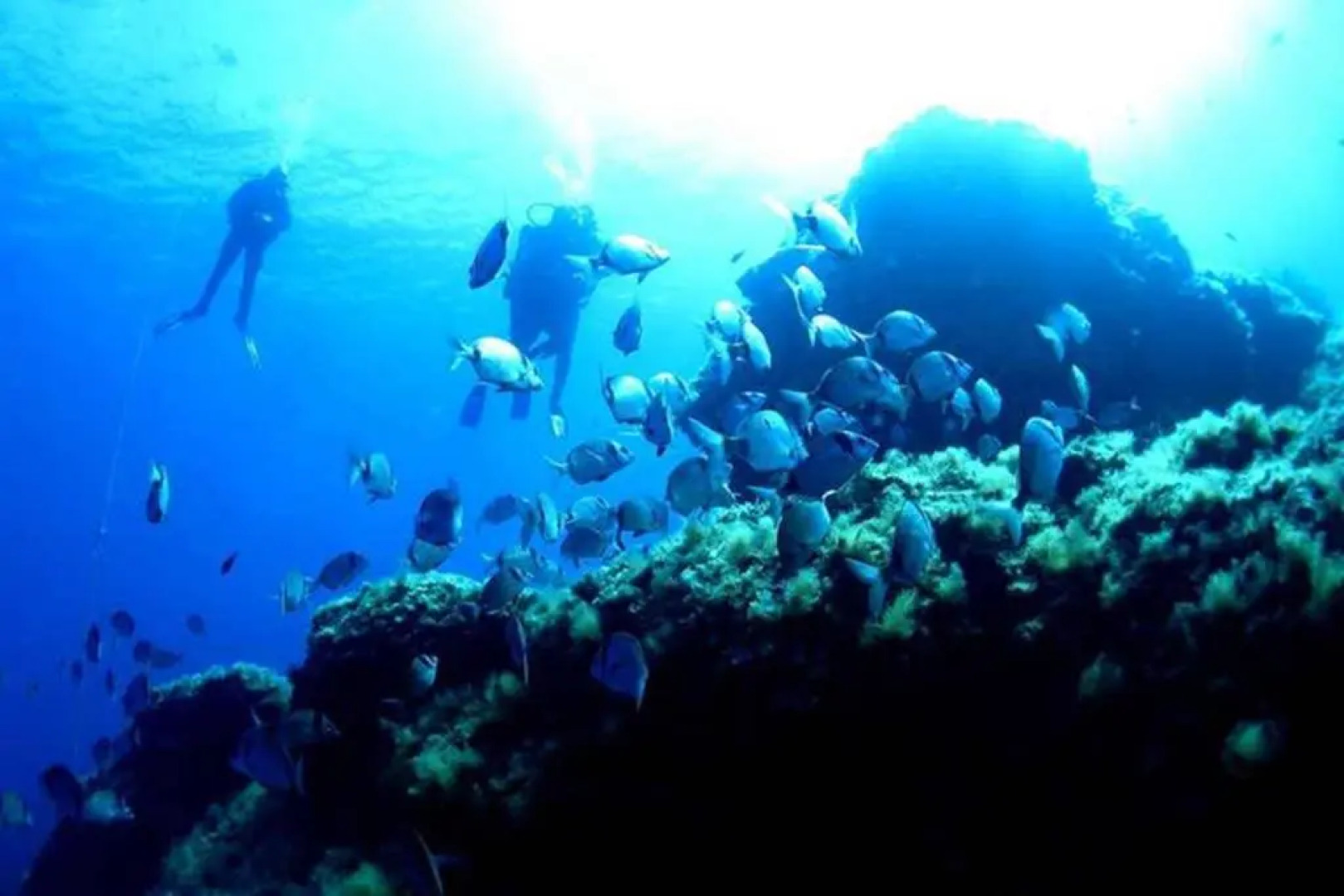 T2 Loft entre mer et montagne