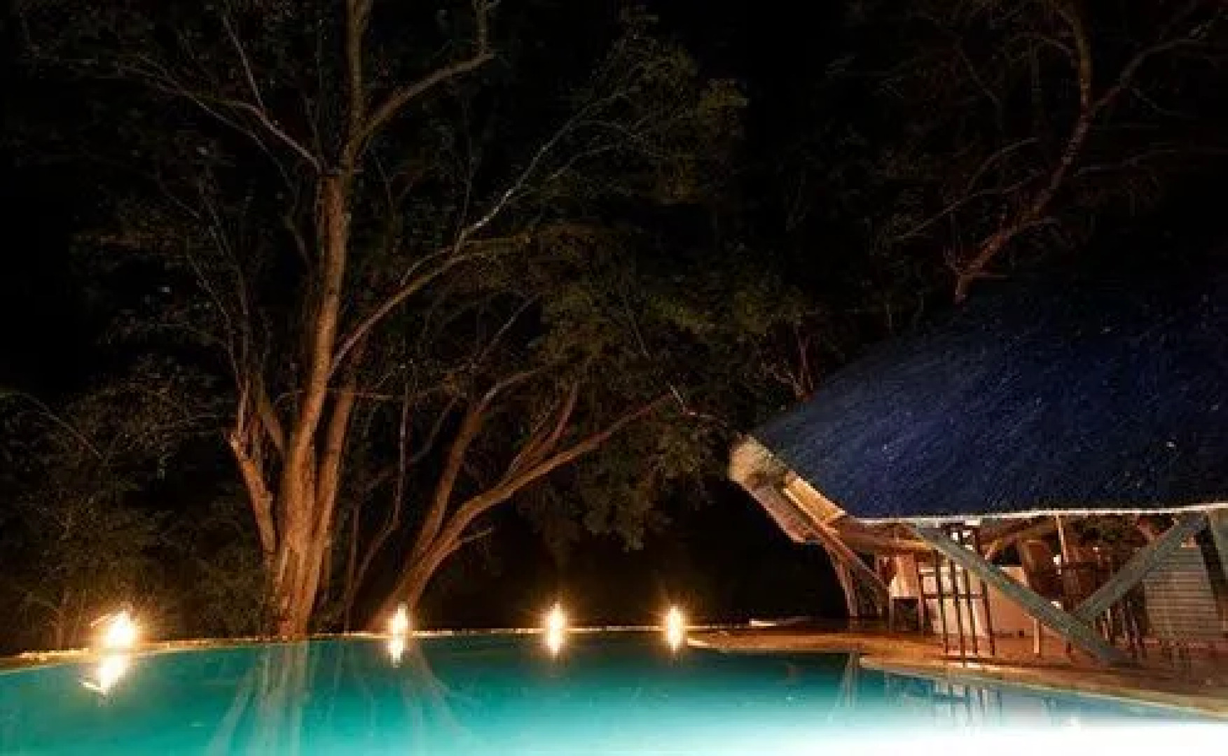 Selous Serena Camp