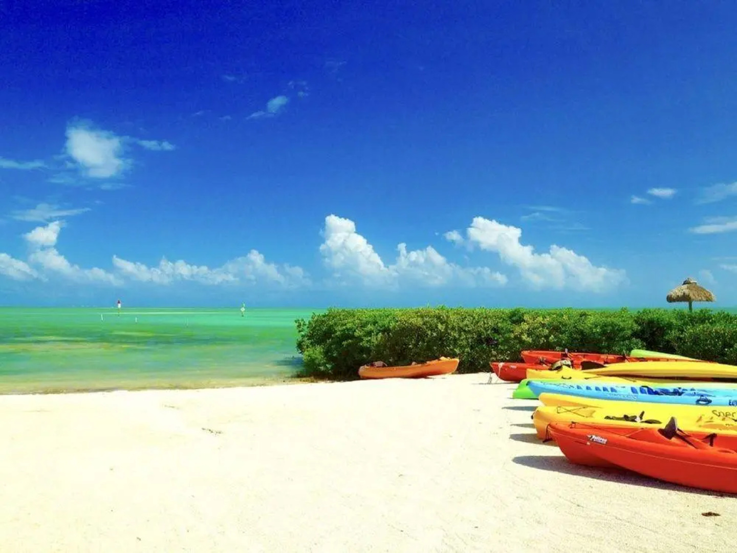 Anglers Reef Villa 1