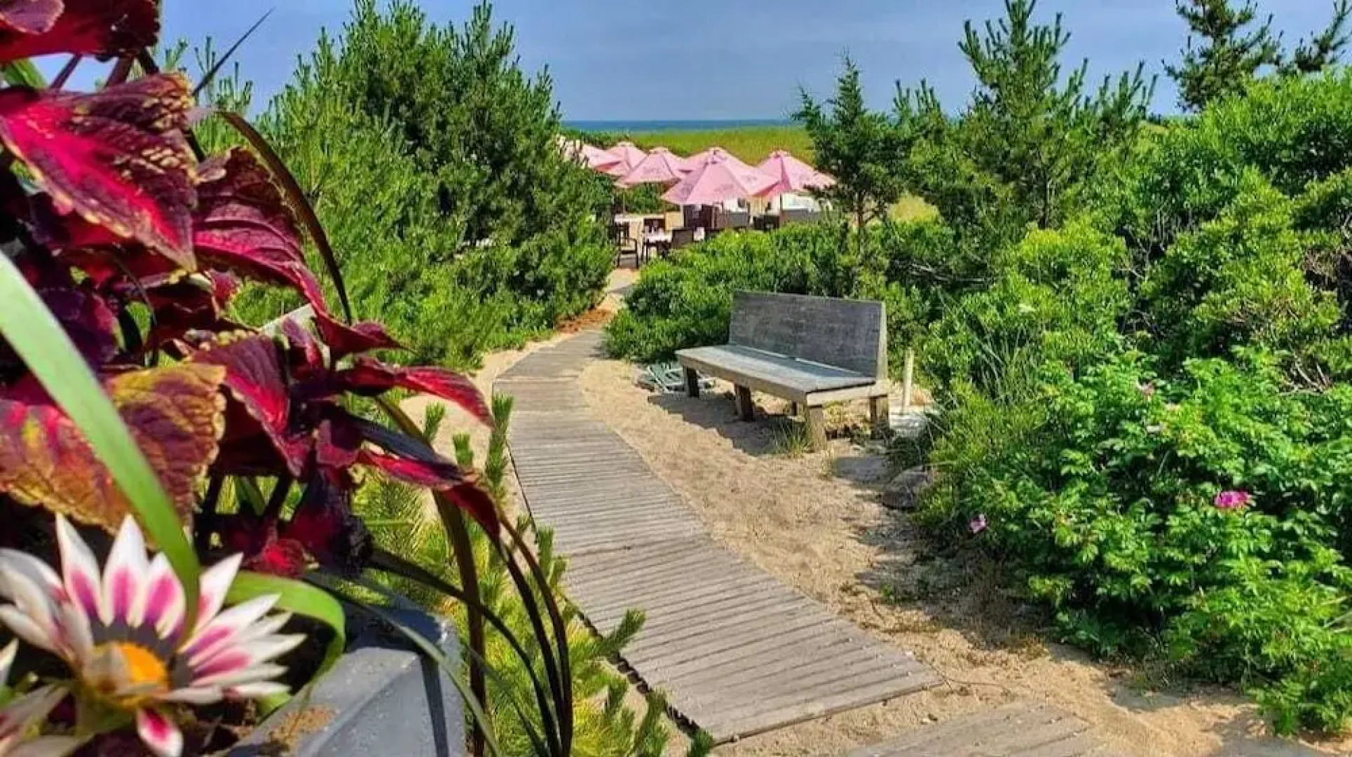 The Summer House Cottages