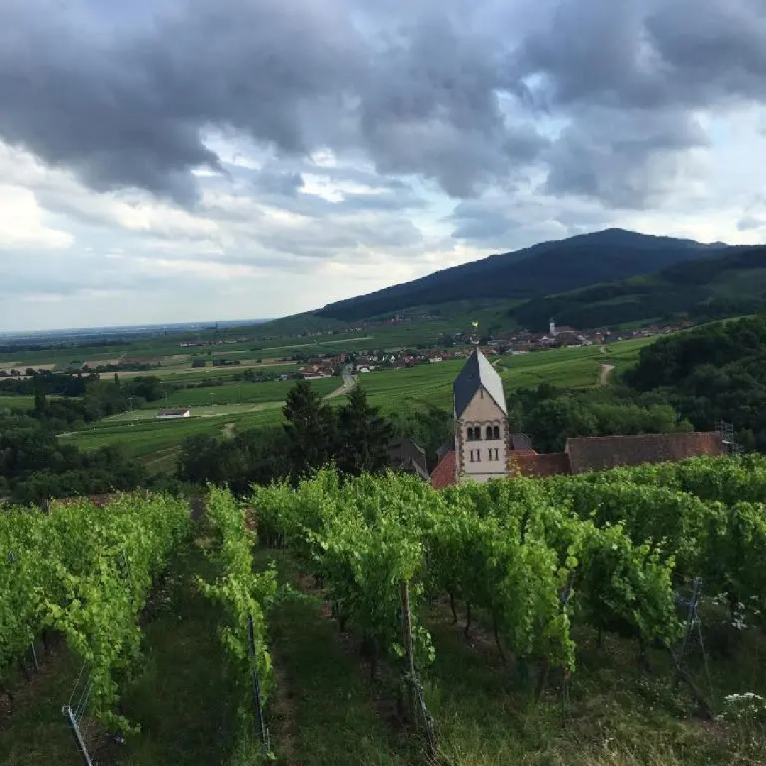Gîte FLEUR DE VIGNES