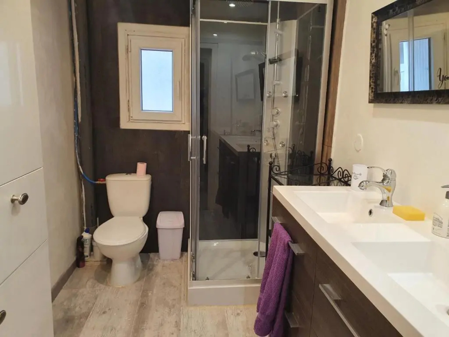 Les colombes de l'Occitanie