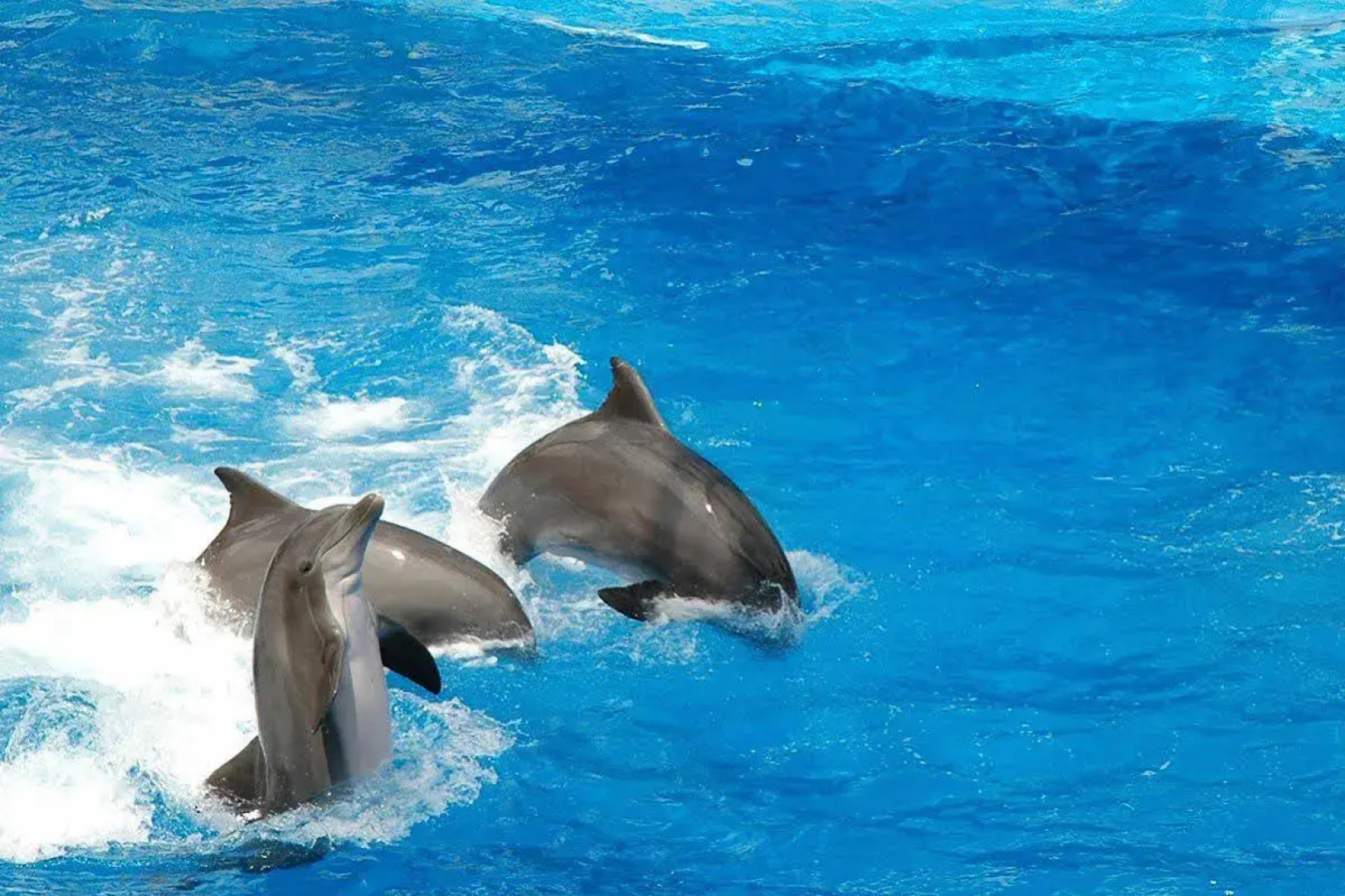 staySky Suites - I Drive Orlando