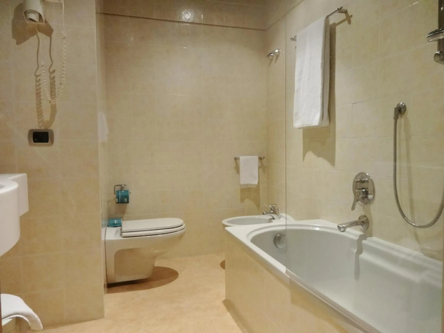 Hotel Excelsior Magenta