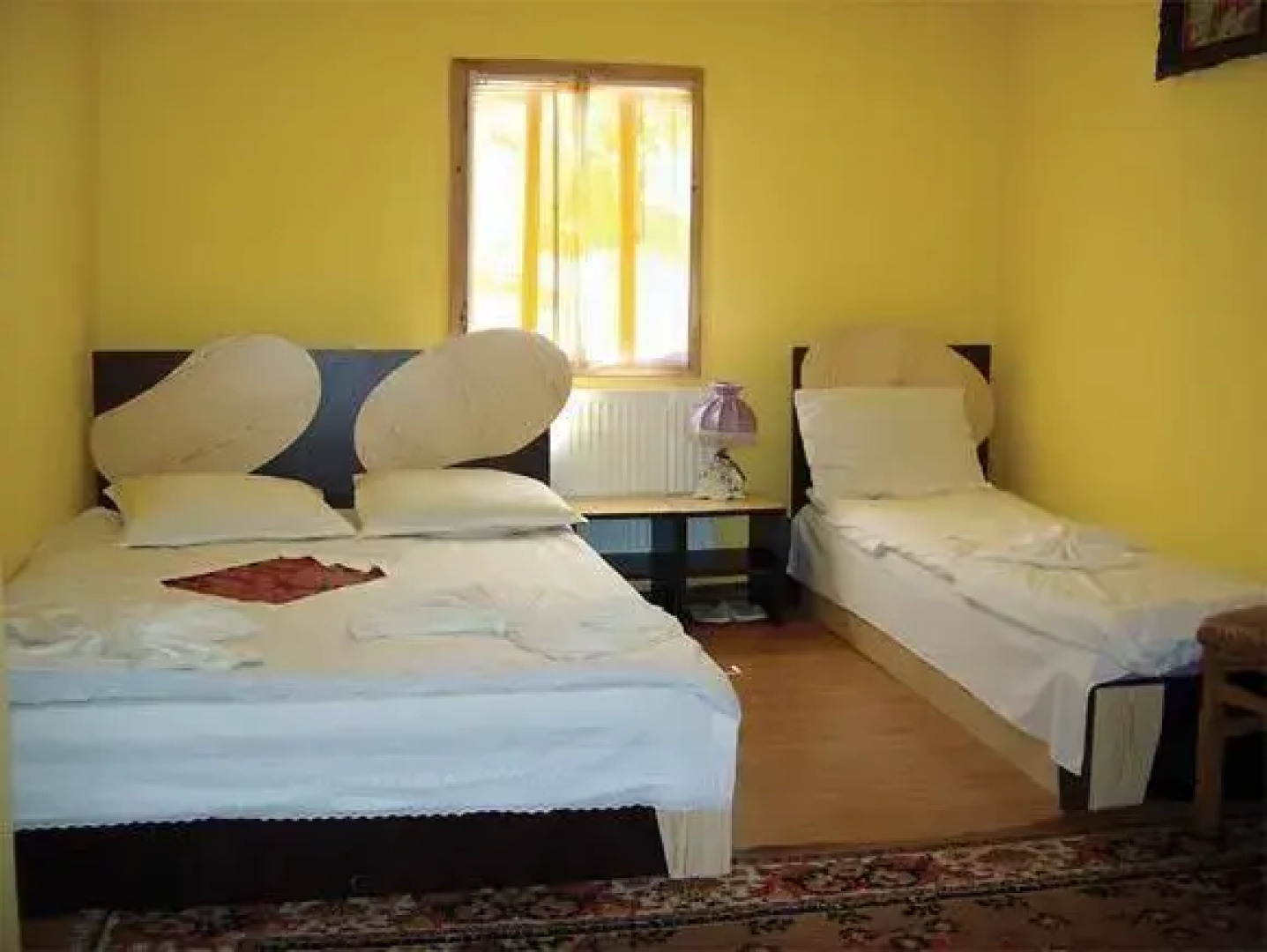 Pensiunea Juliana Arieseni