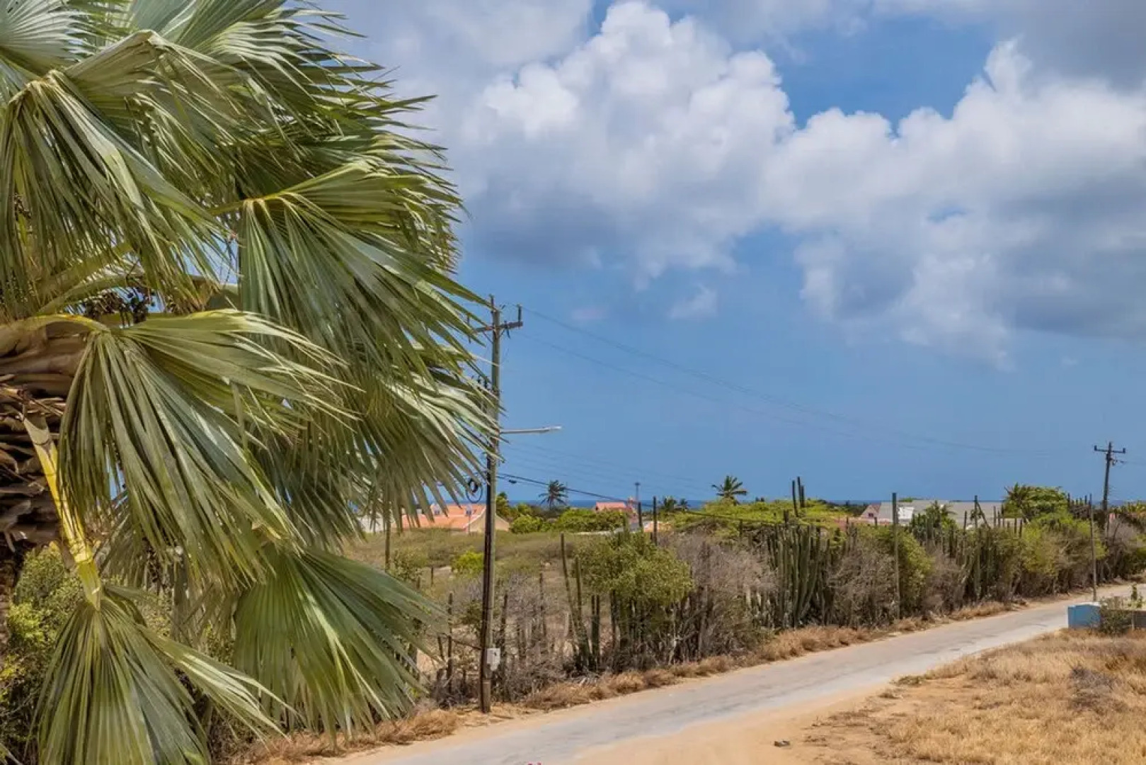 Charming Cunucu Home Pvt Pool Outdoor Kitchen