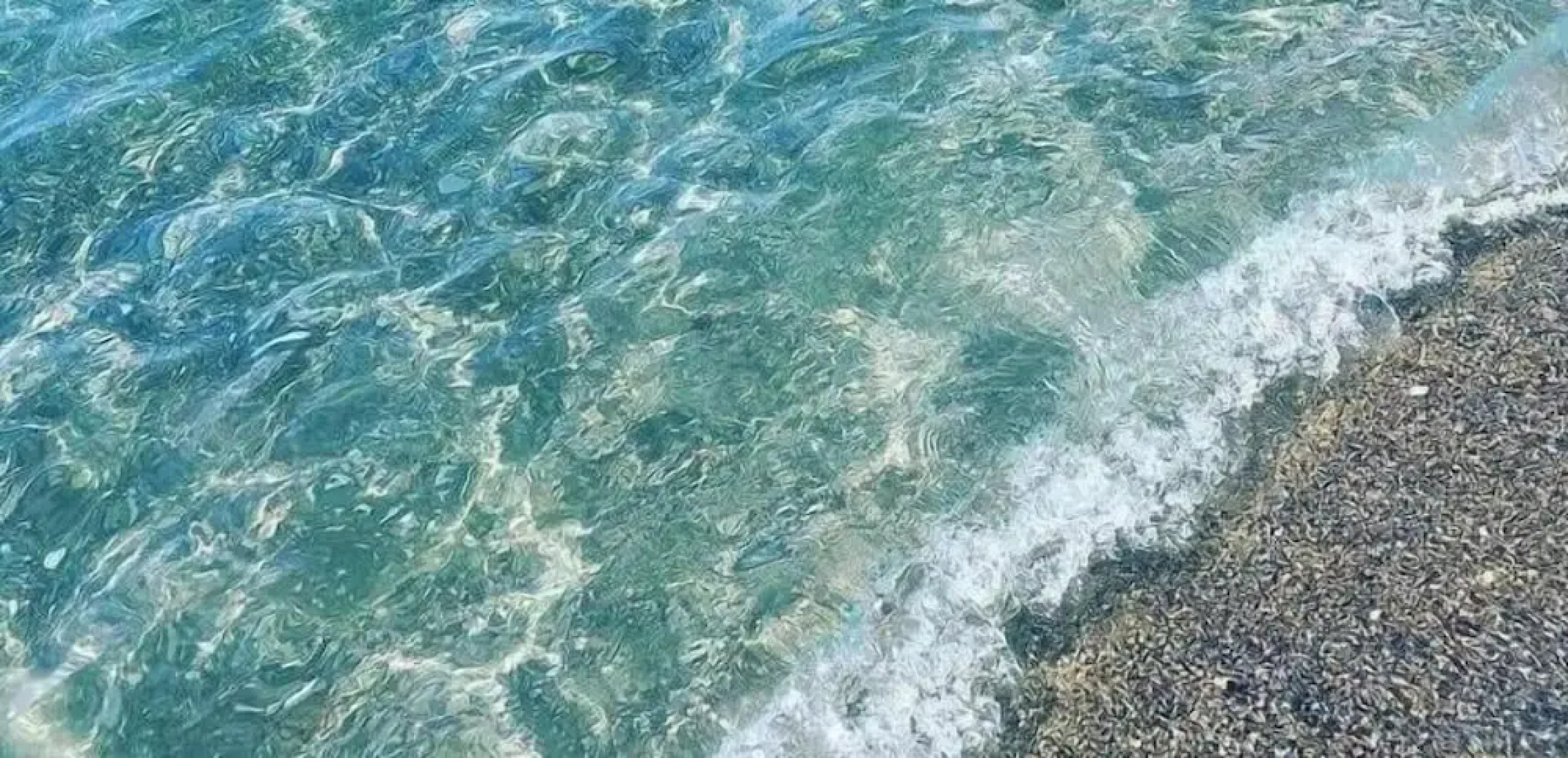 Residence San Antonio