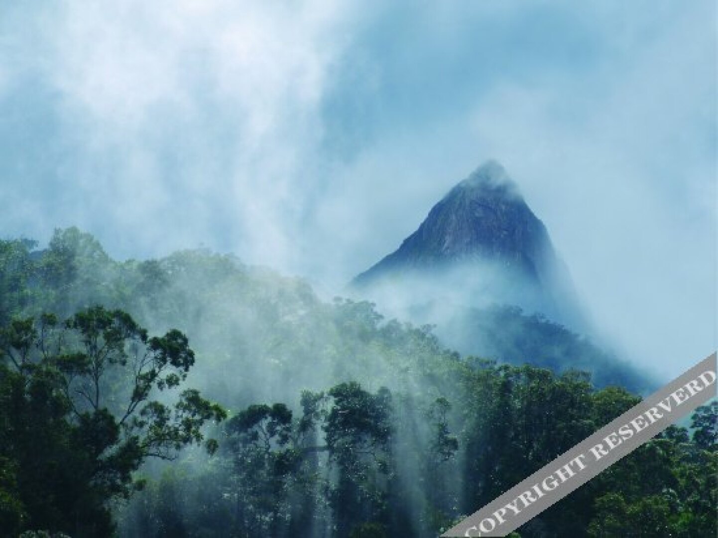 Tianchi Taoyuan Hotel