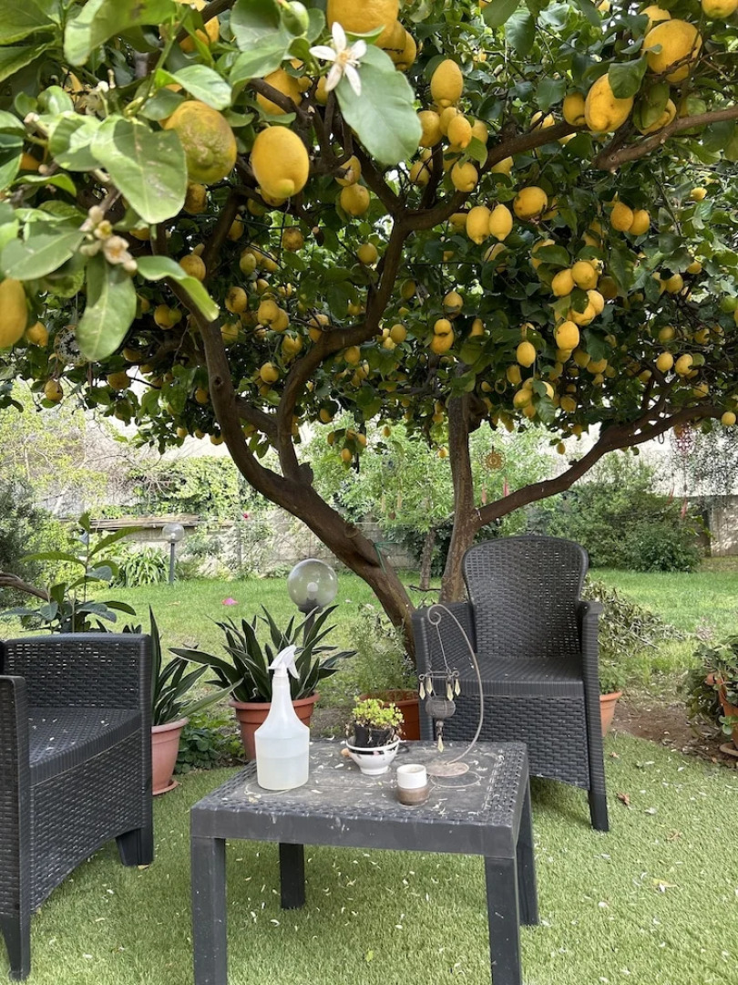 Bed and Breakfast L'Abete