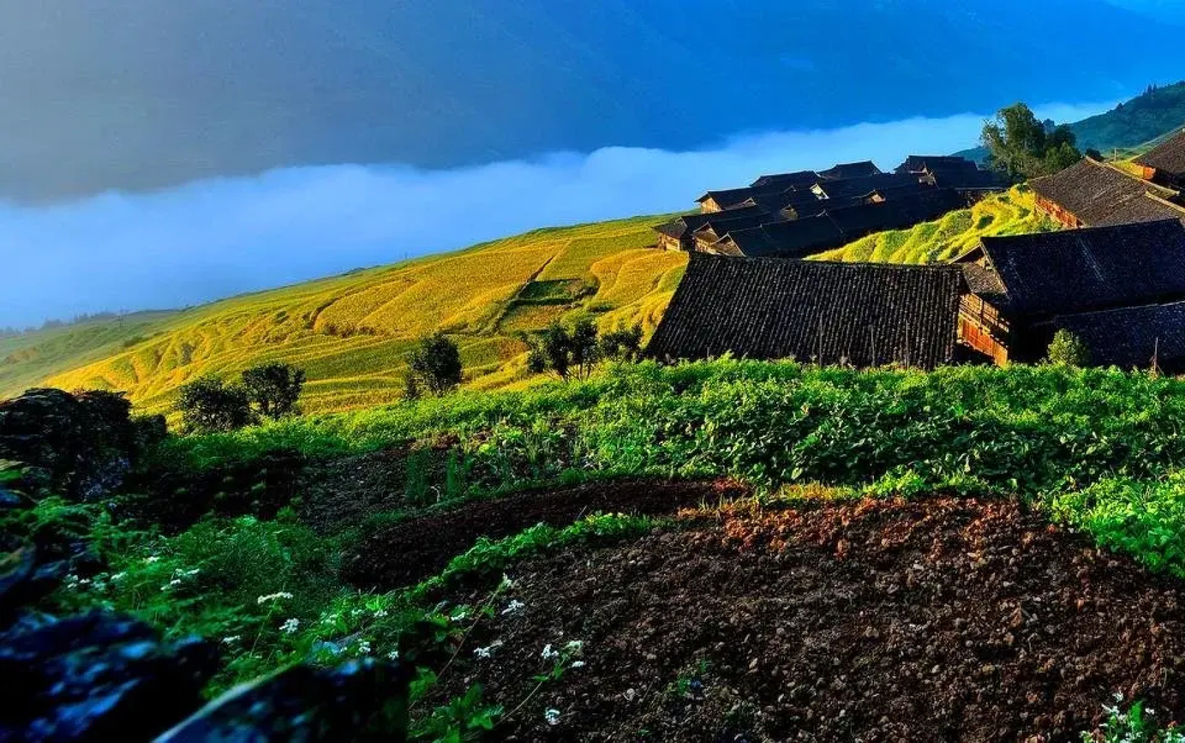 Yuanxiang Yayuan Inn